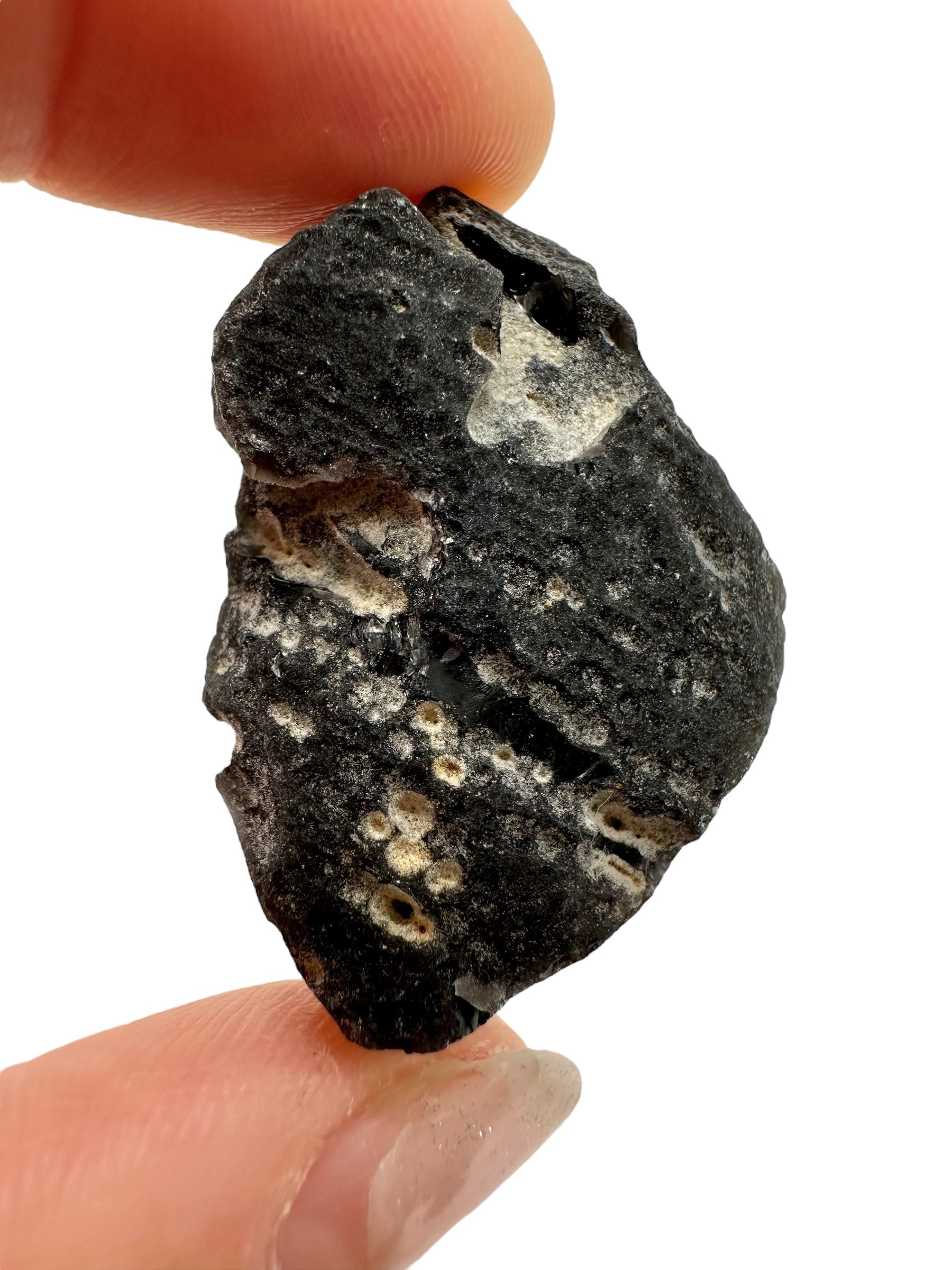 Obsidian 16,8g – Brehov, Slovakia - OB190