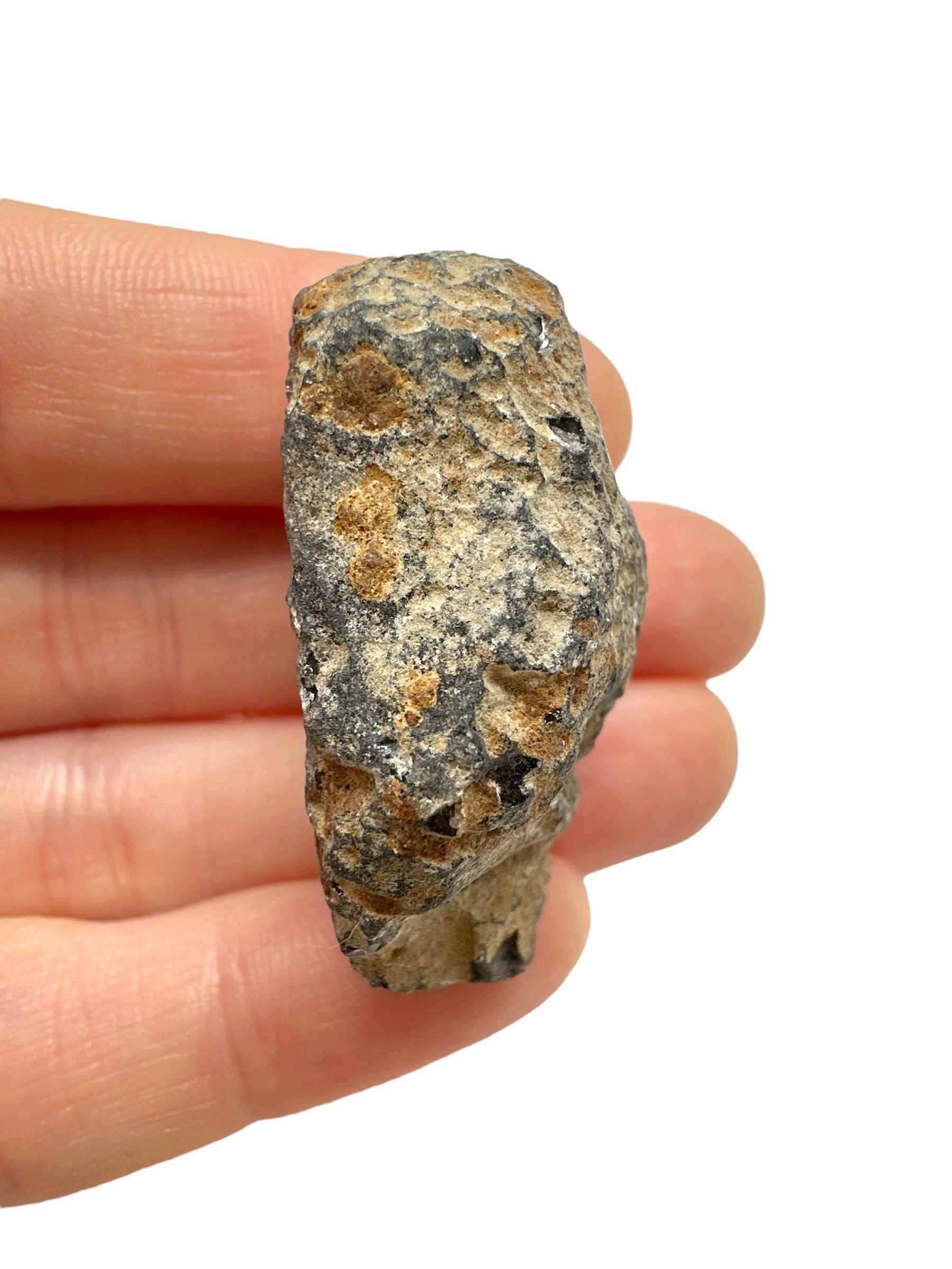 Obsidian 17,5g – Brehov, Slovakia - OB193