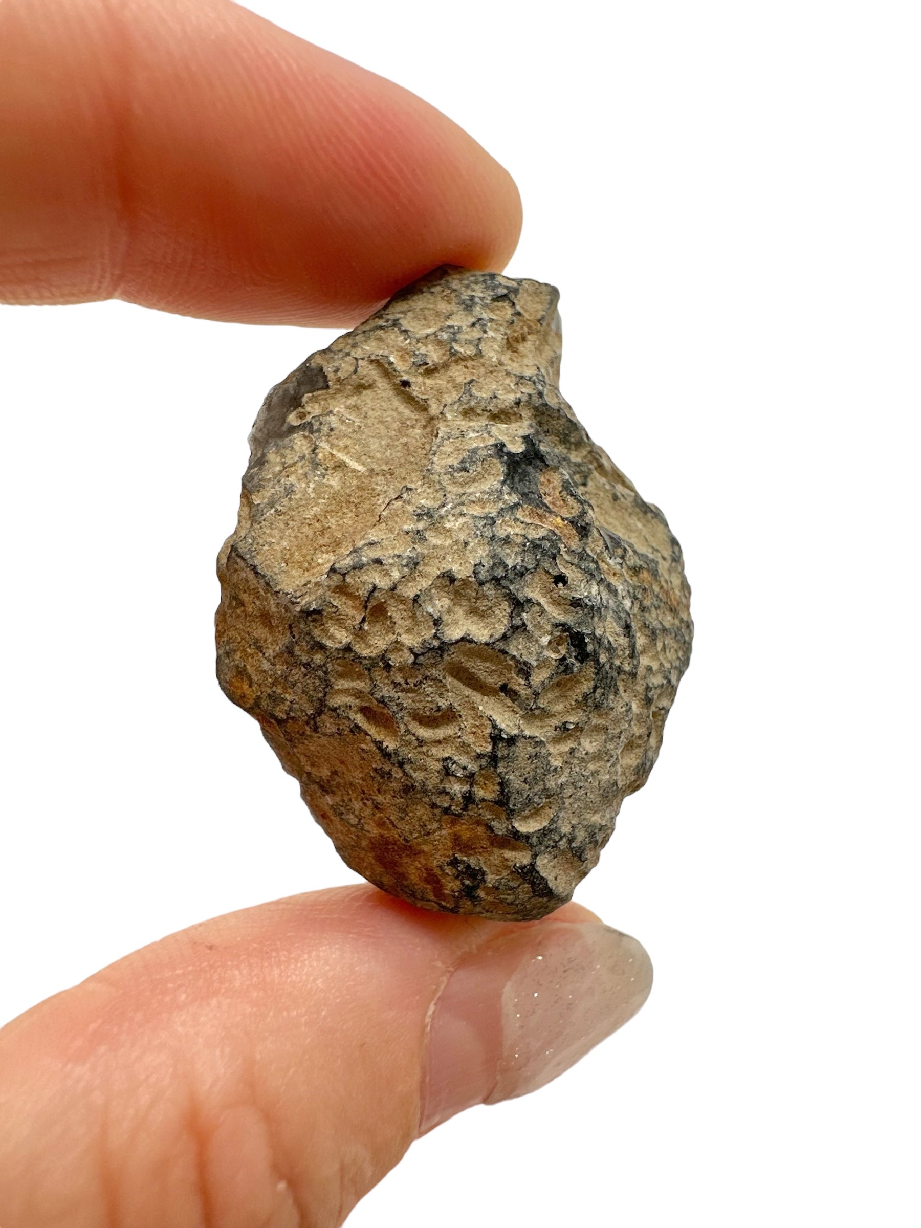 Obsidian 17,5g – Brehov, Slovakia - OB193