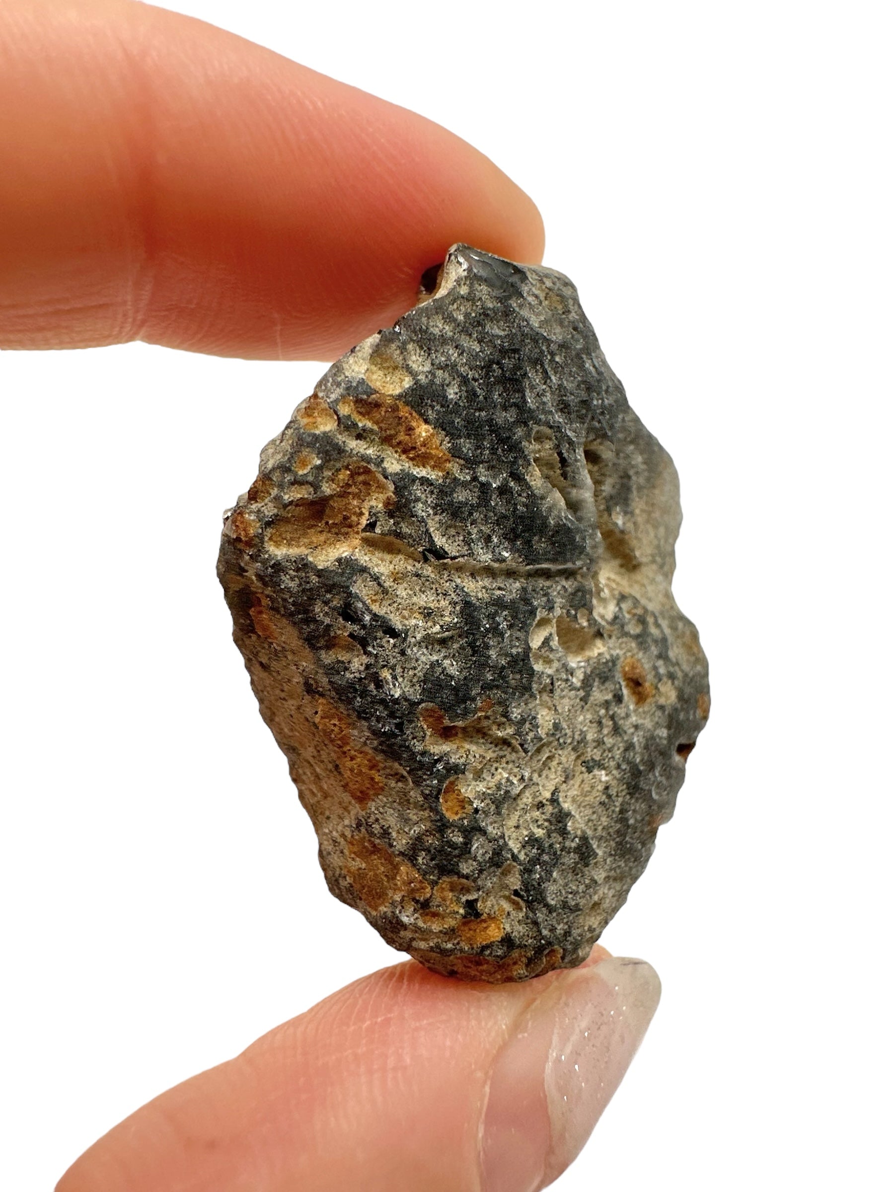 Obsidian 17,5g – Brehov, Slovakia - OB193