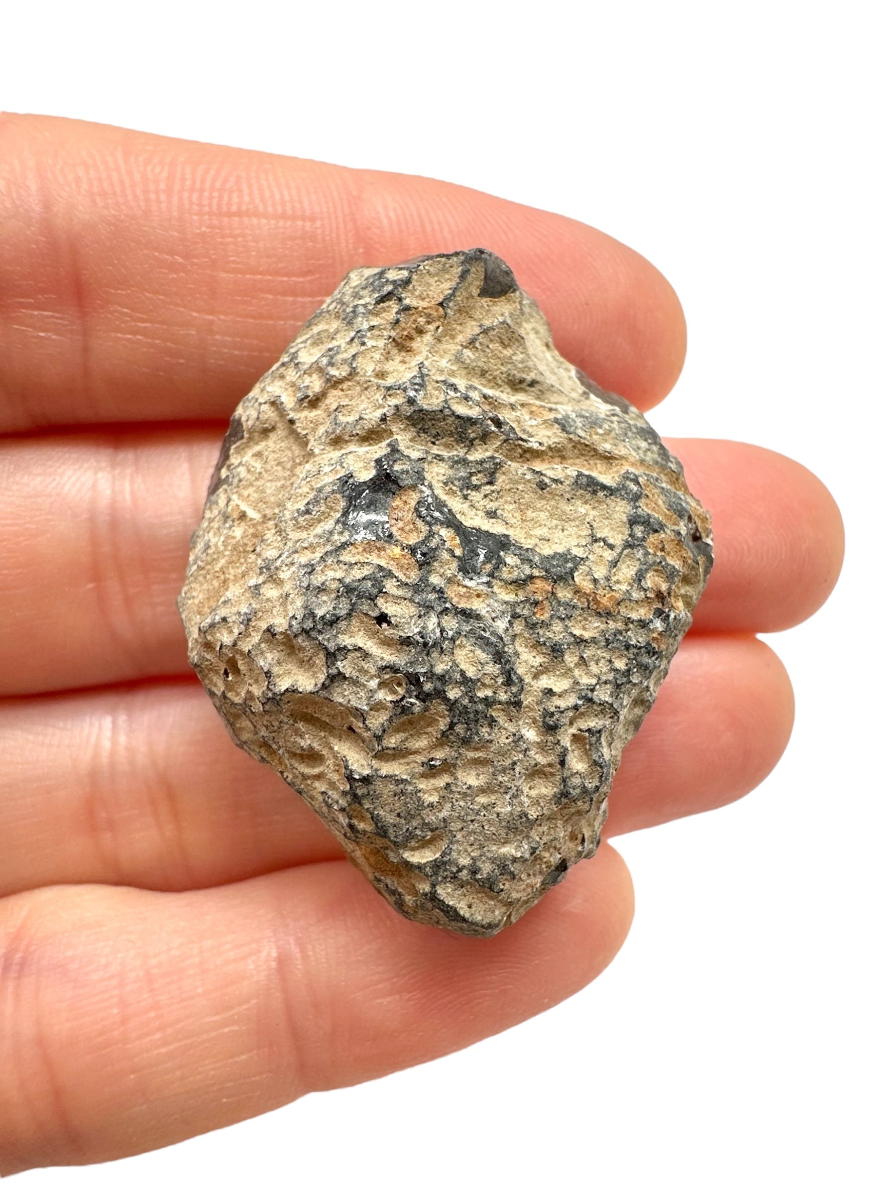 Obsidian 17,5g – Brehov, Slovakia