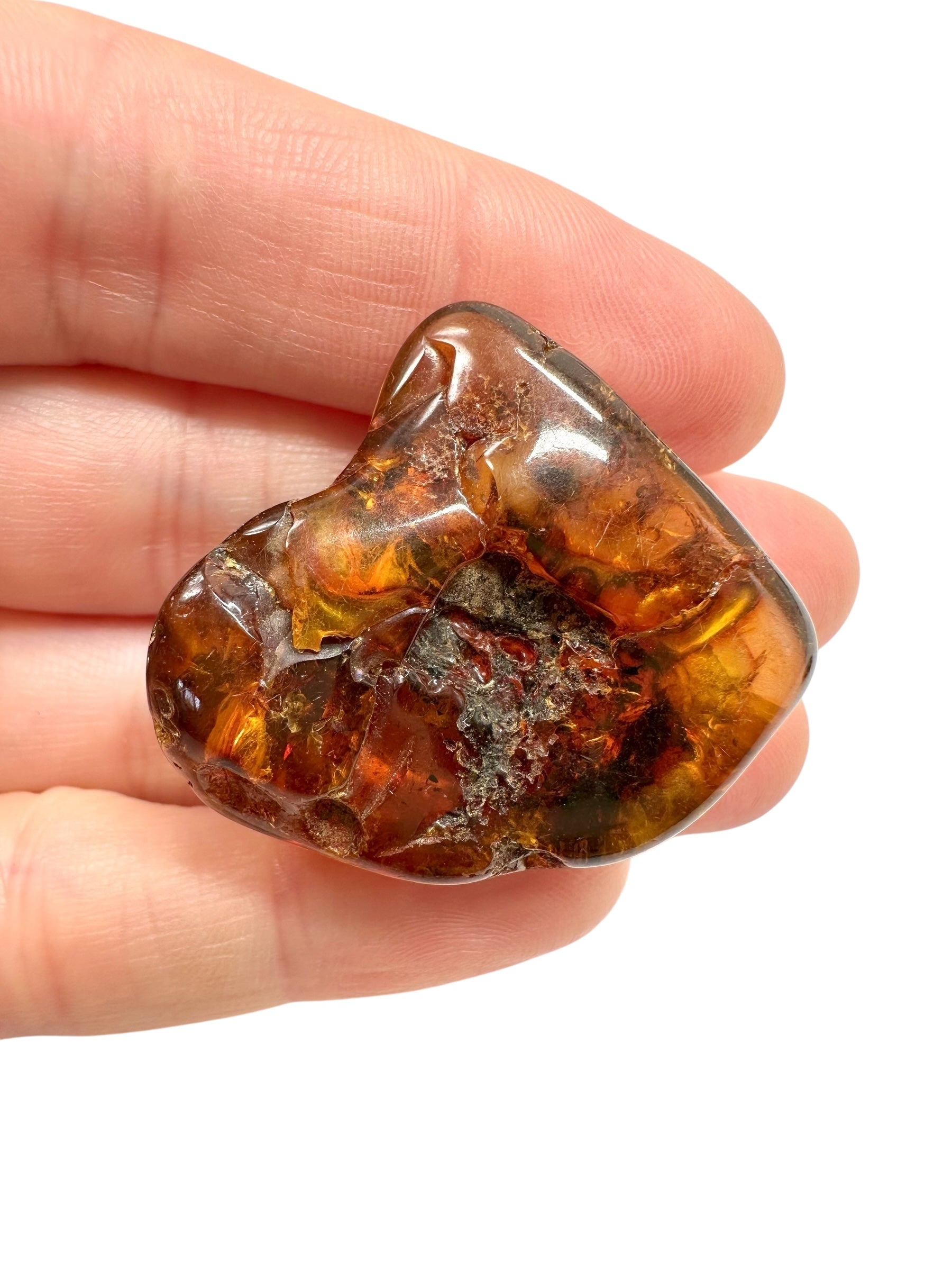Amber 6,6g – Lithuania - JN599