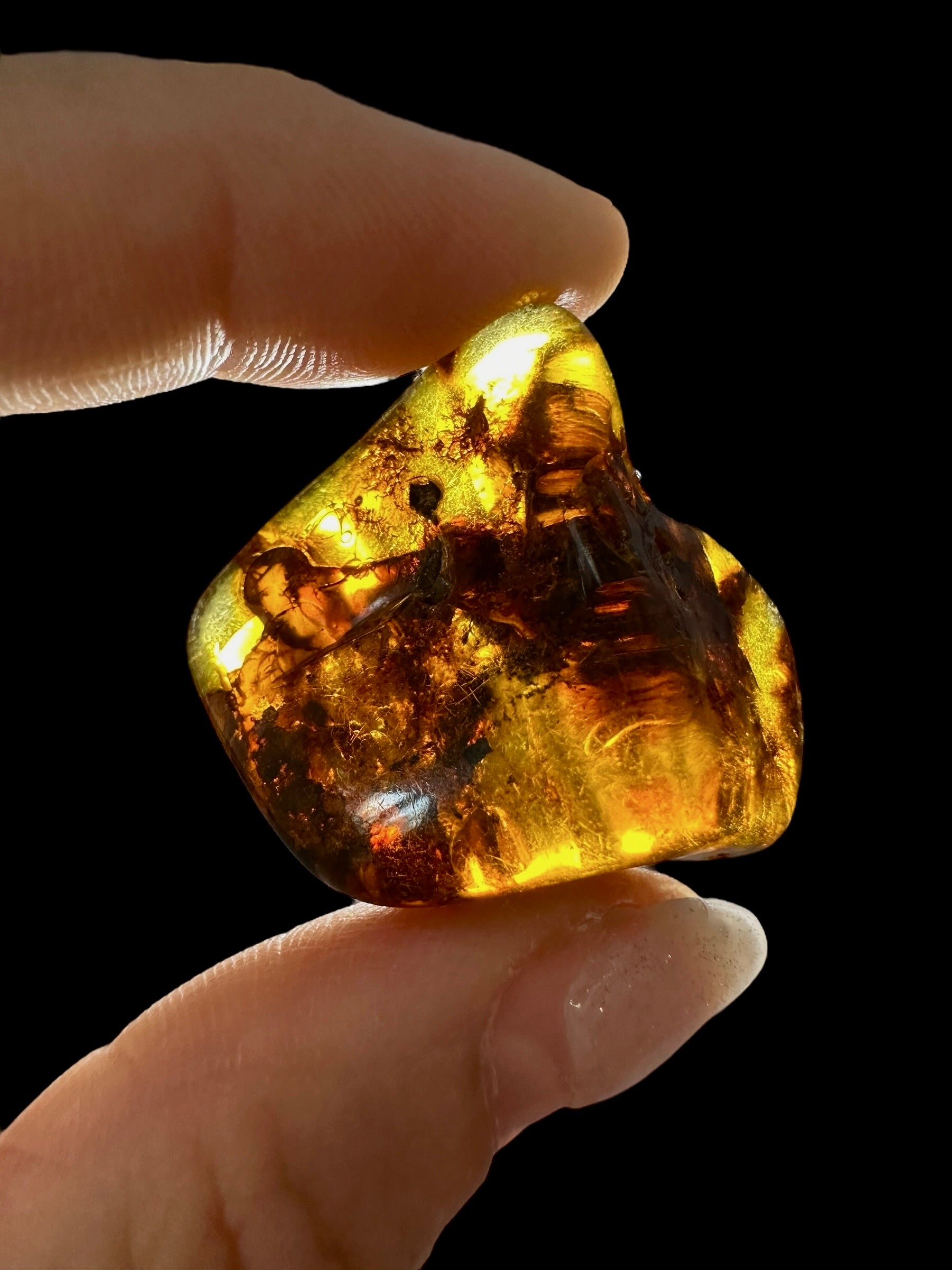Amber 6,6g – Lithuania - JN599