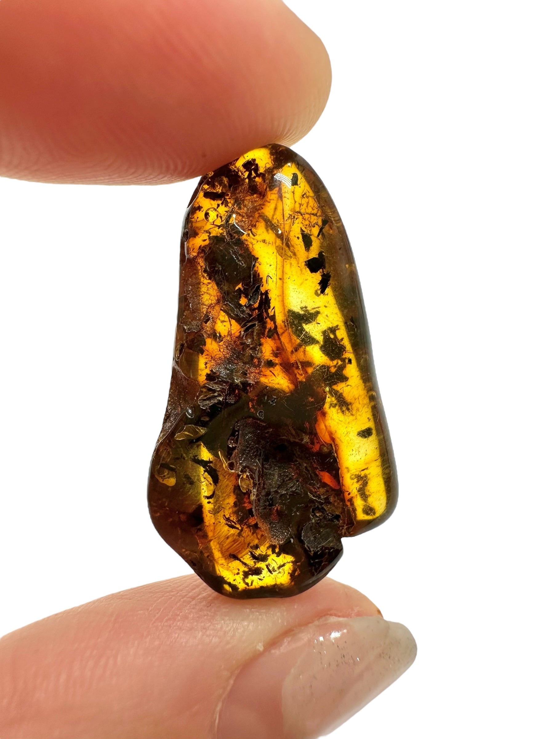 Amber 2,1g – Lithuania - JN601