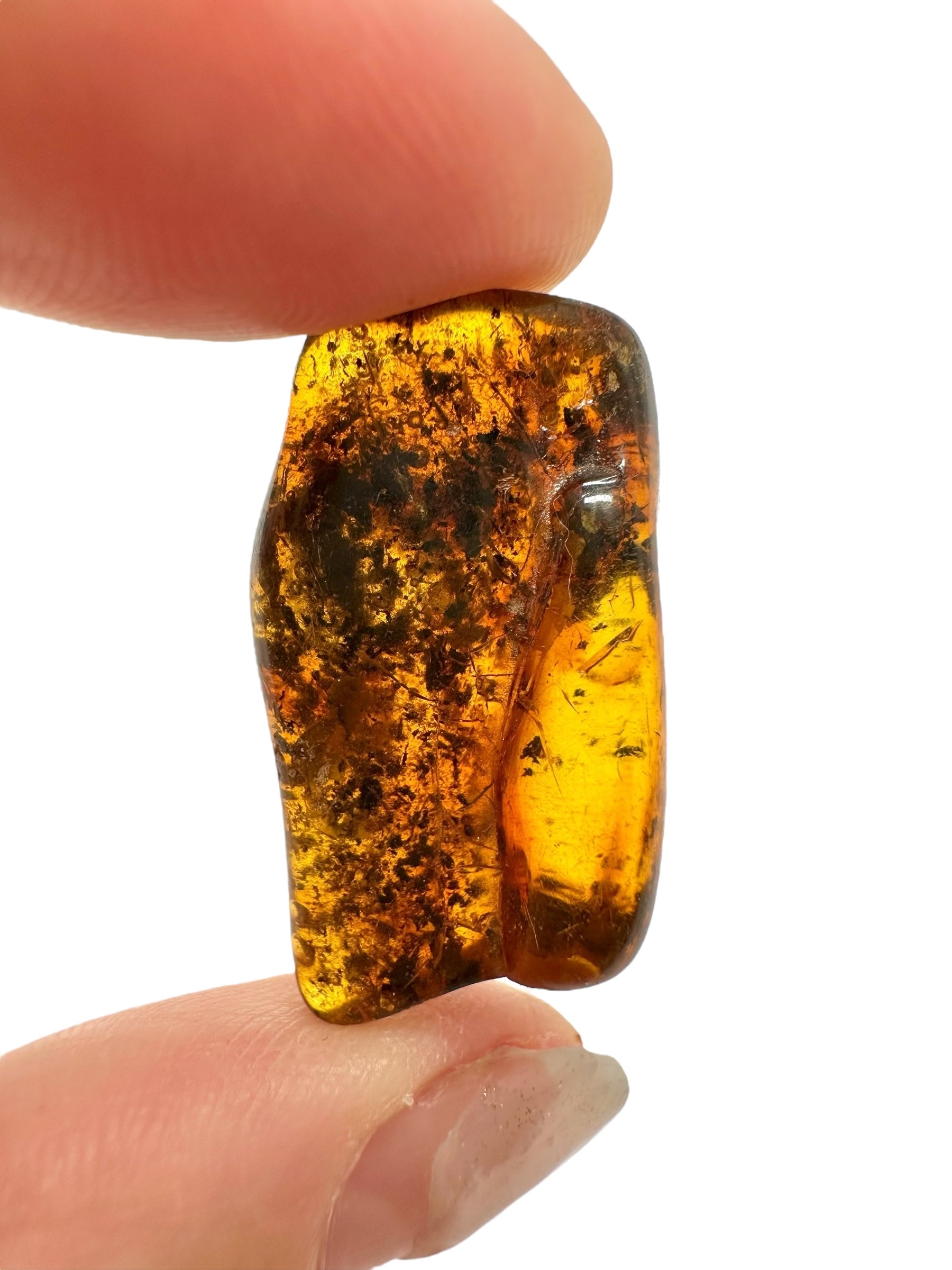Amber 2,6g – Lithuania