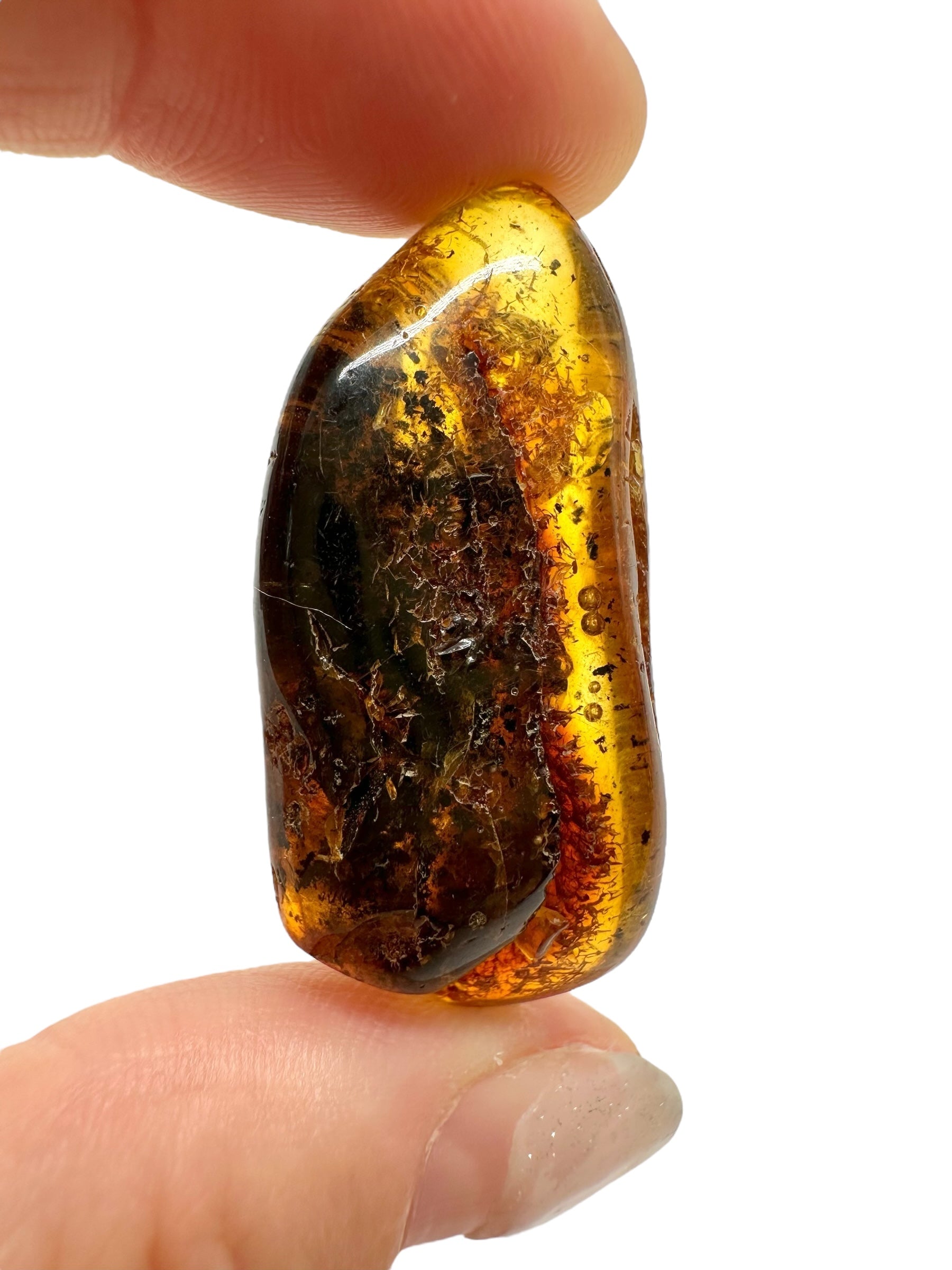 Amber 5,6g – Lithuania - JN604