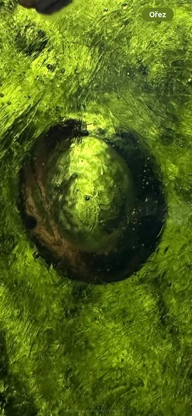 Moldavite – Slavce u TS – 16,3g - V1665