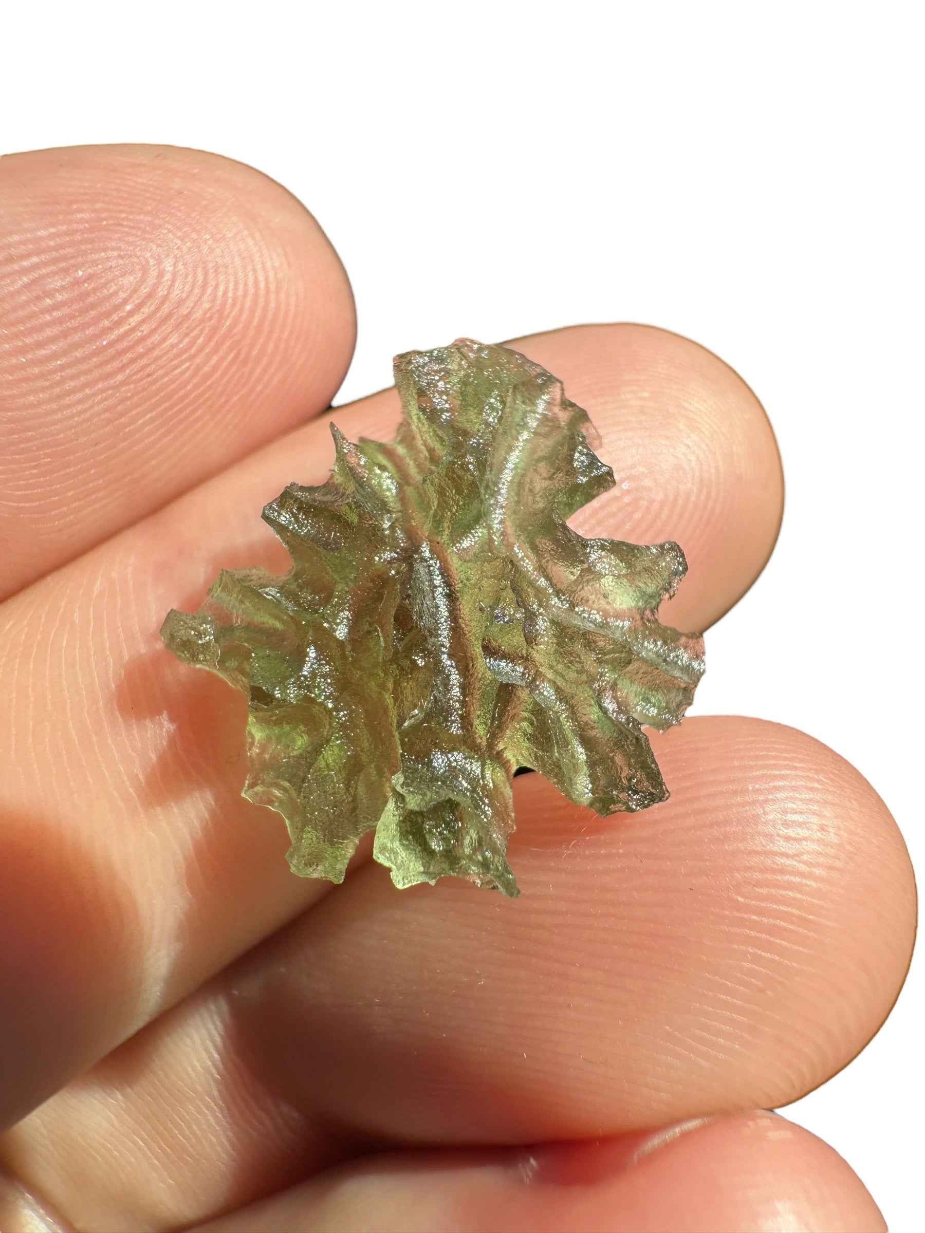 Moldavite – Besednice Jezkovna – 1,3g - BJ240