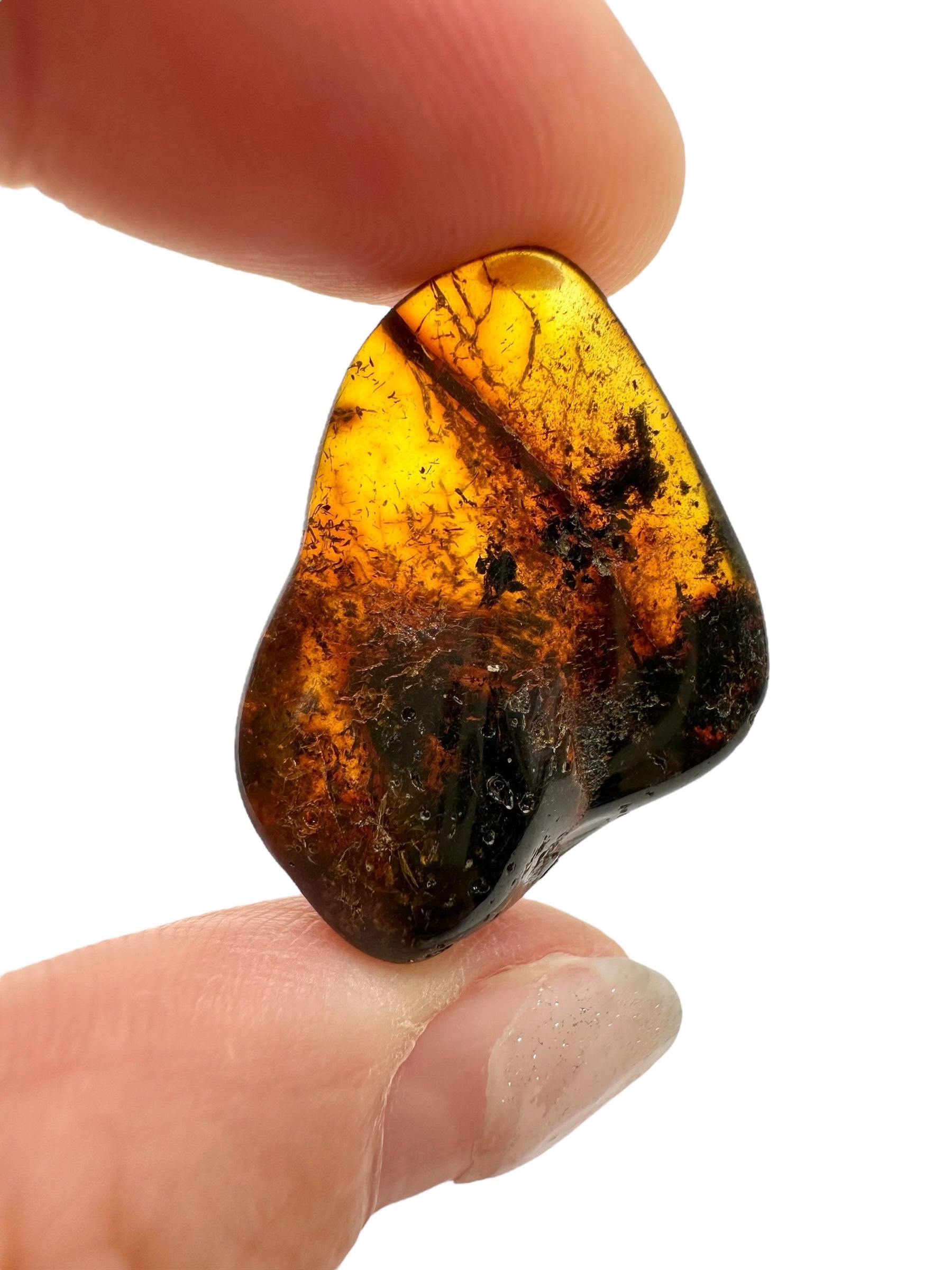 Amber 2,4g – Lithuania - JN610