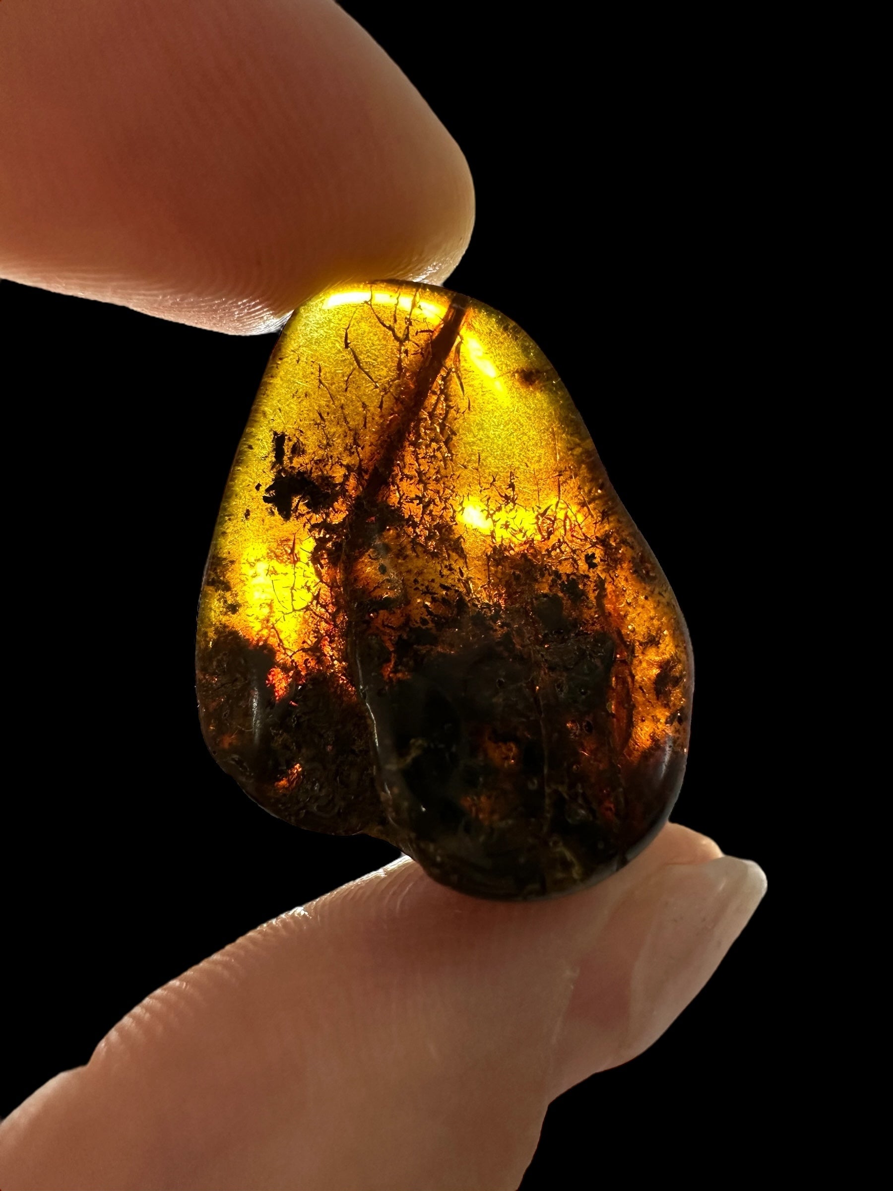 Amber 2,4g – Lithuania - JN610