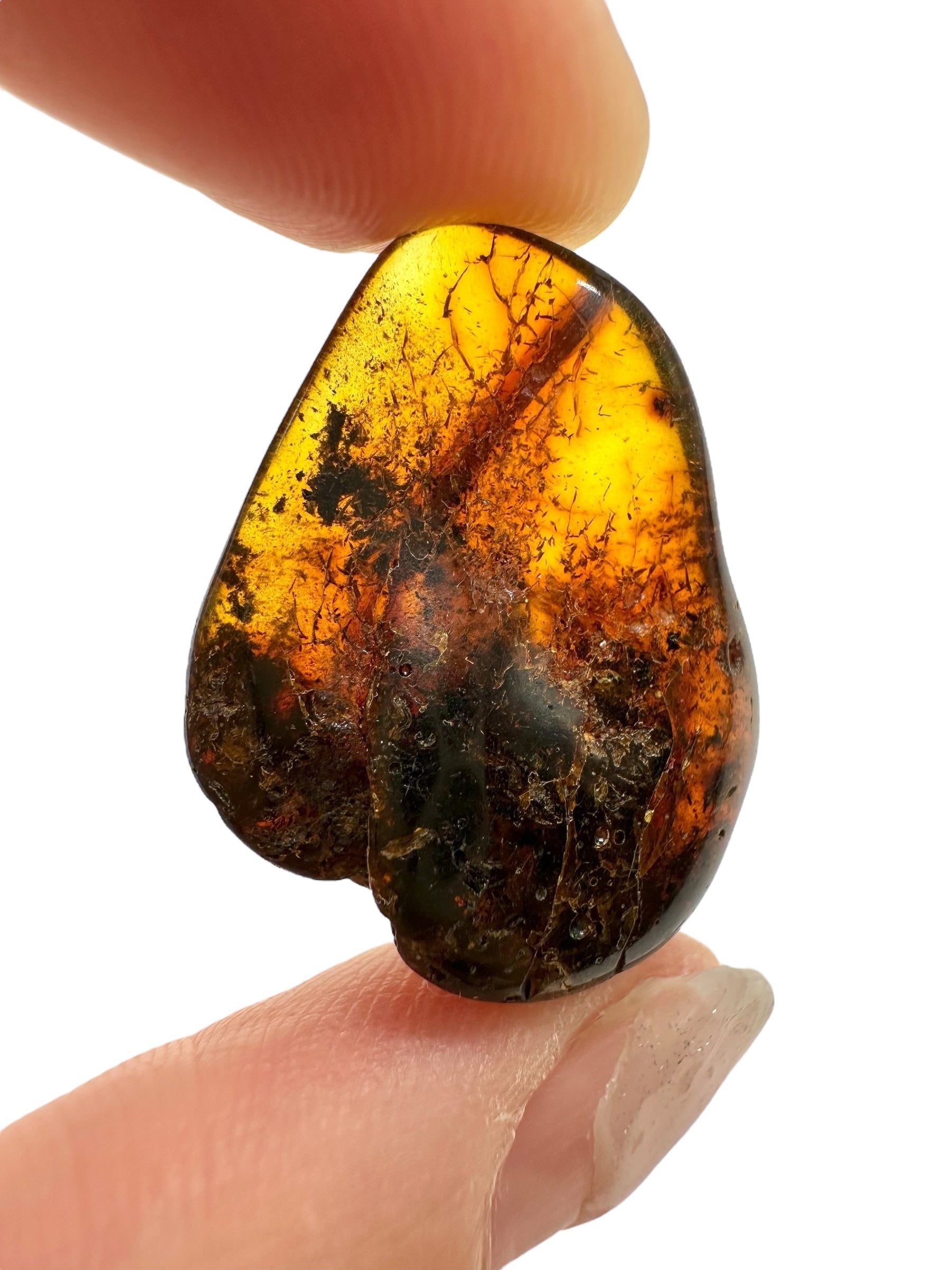 Amber 2,4g – Lithuania