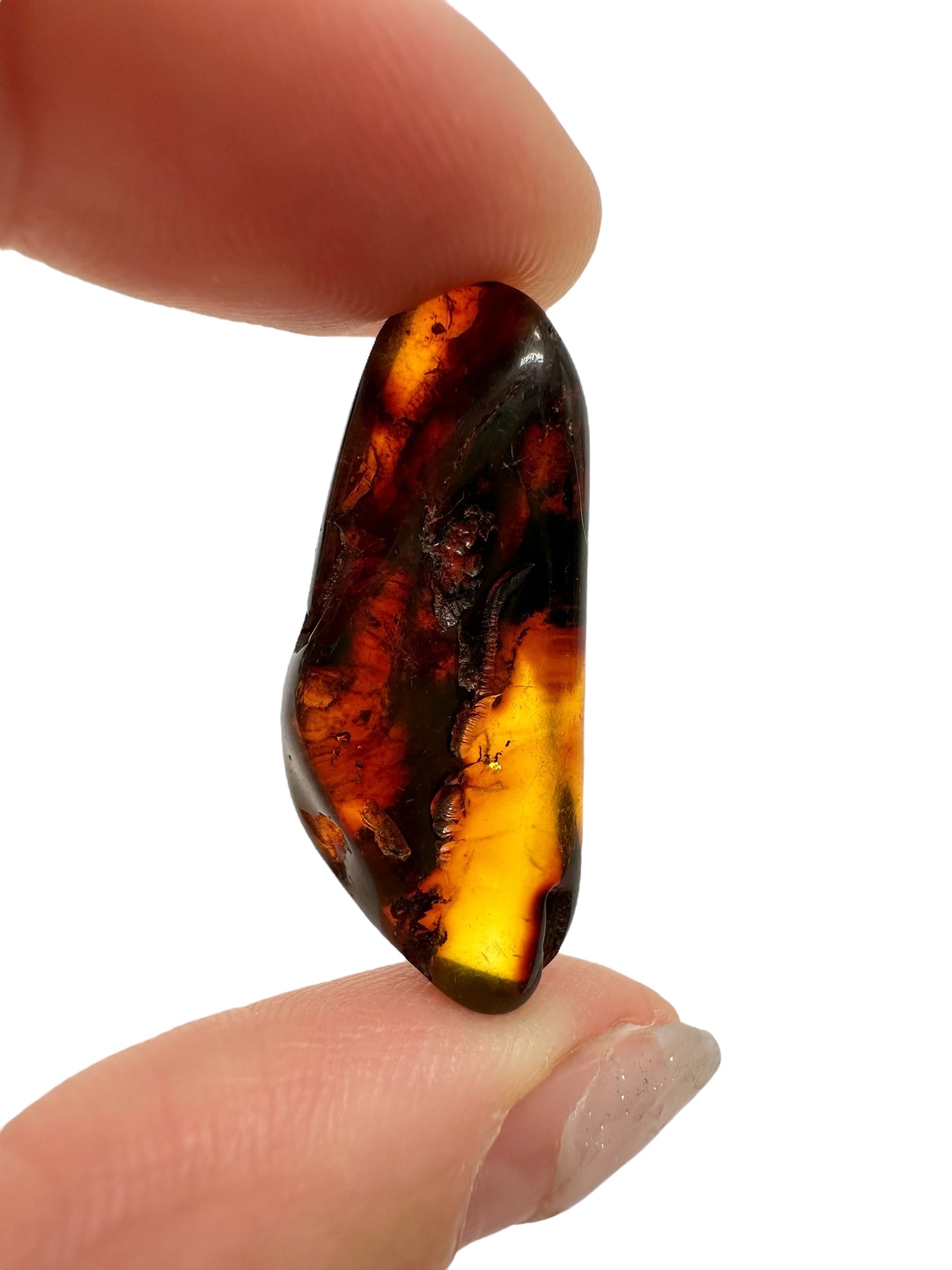 Amber 2,2g – Lithuania - JN617