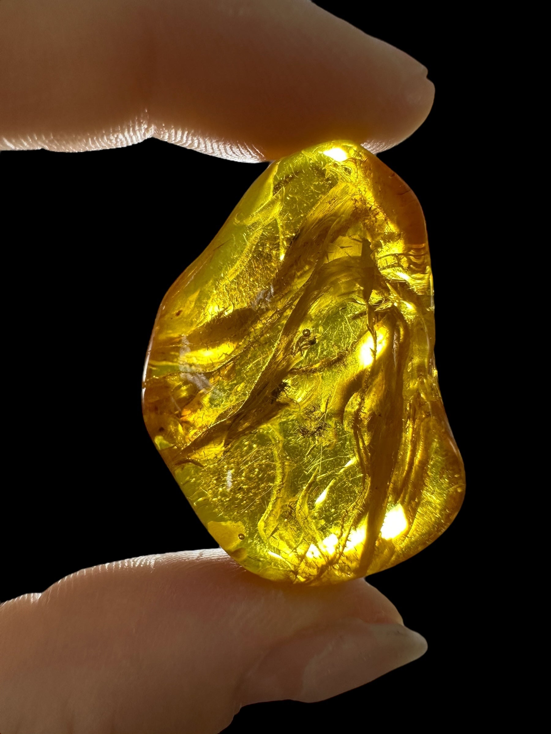 Amber 6g – Lithuania - JN618