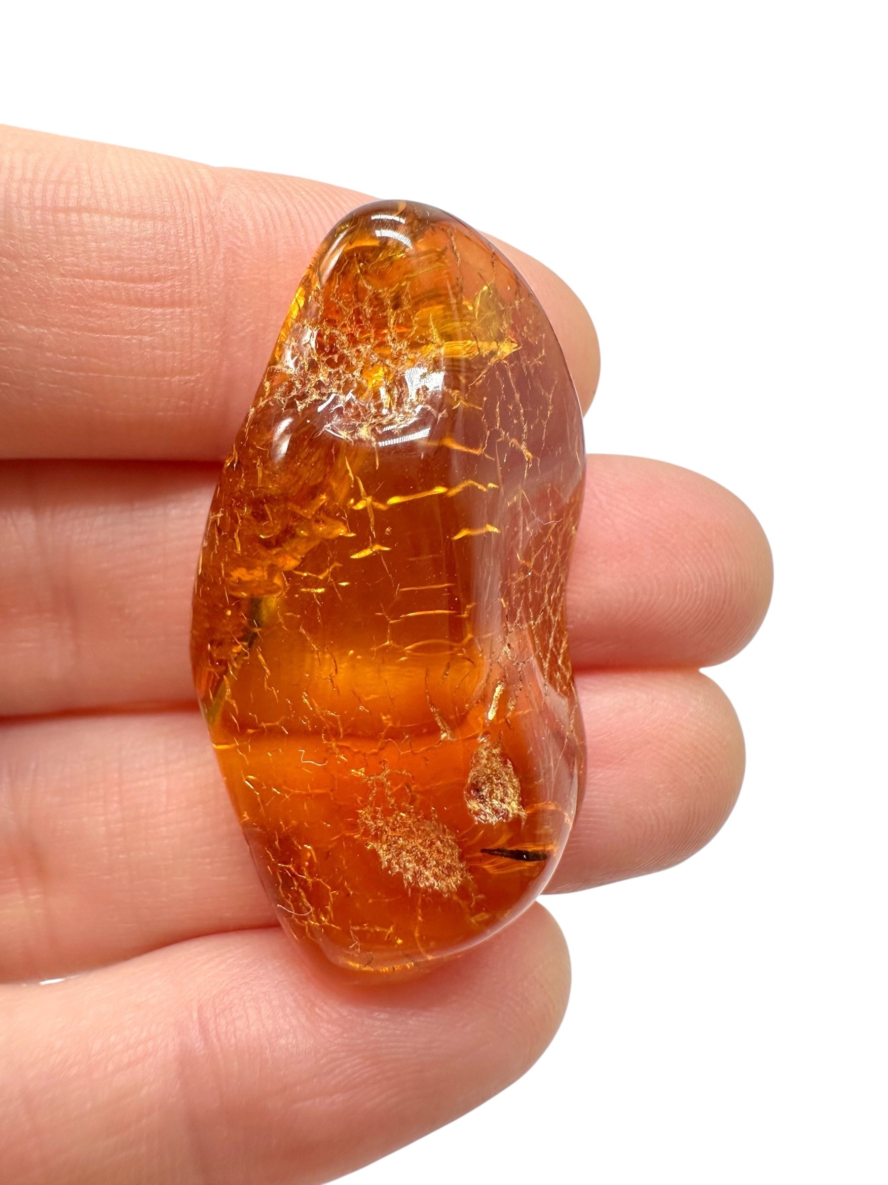 Amber 4,6g – Lithuania - JN619