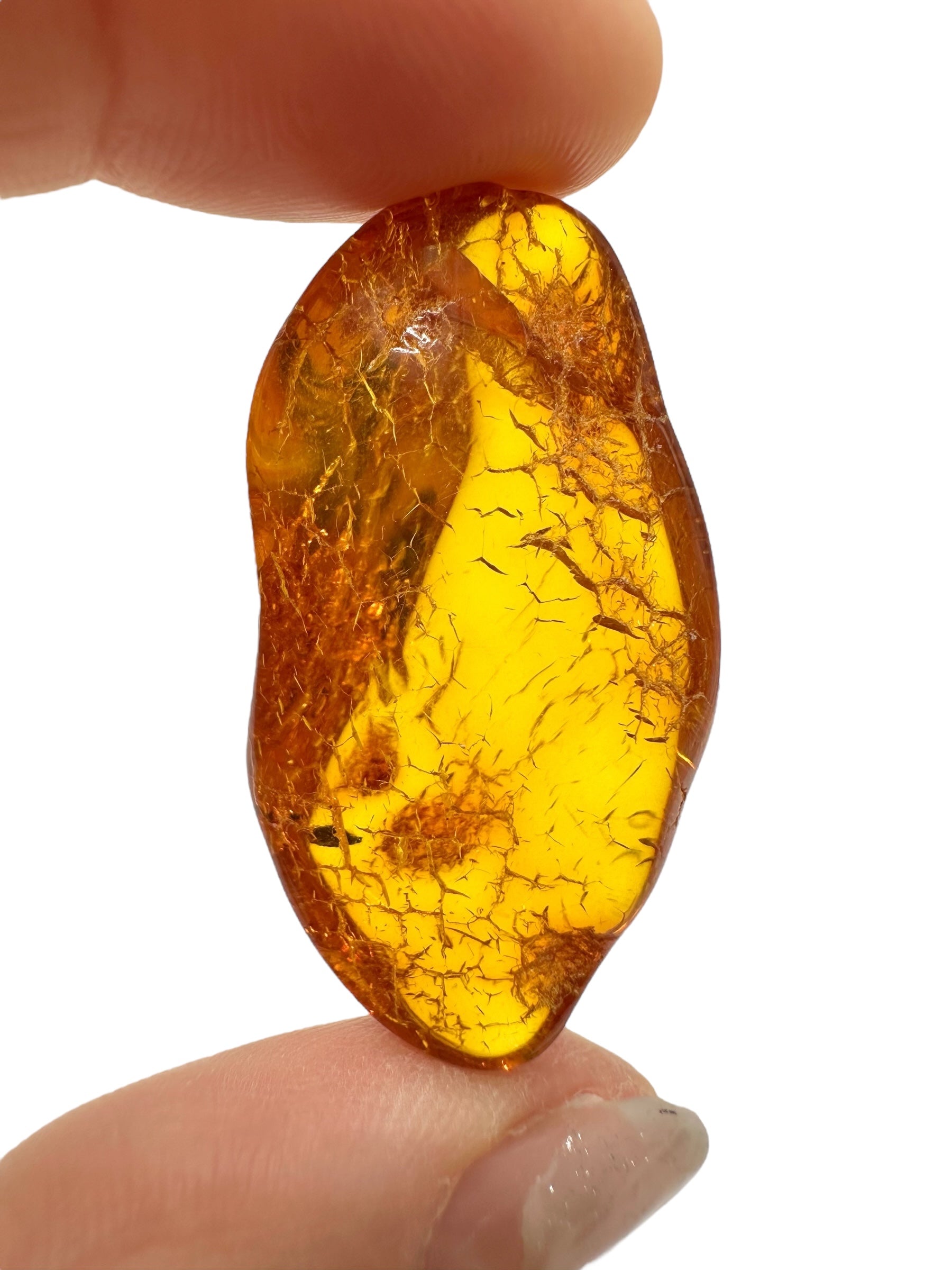 Amber 4,6g – Lithuania - JN619