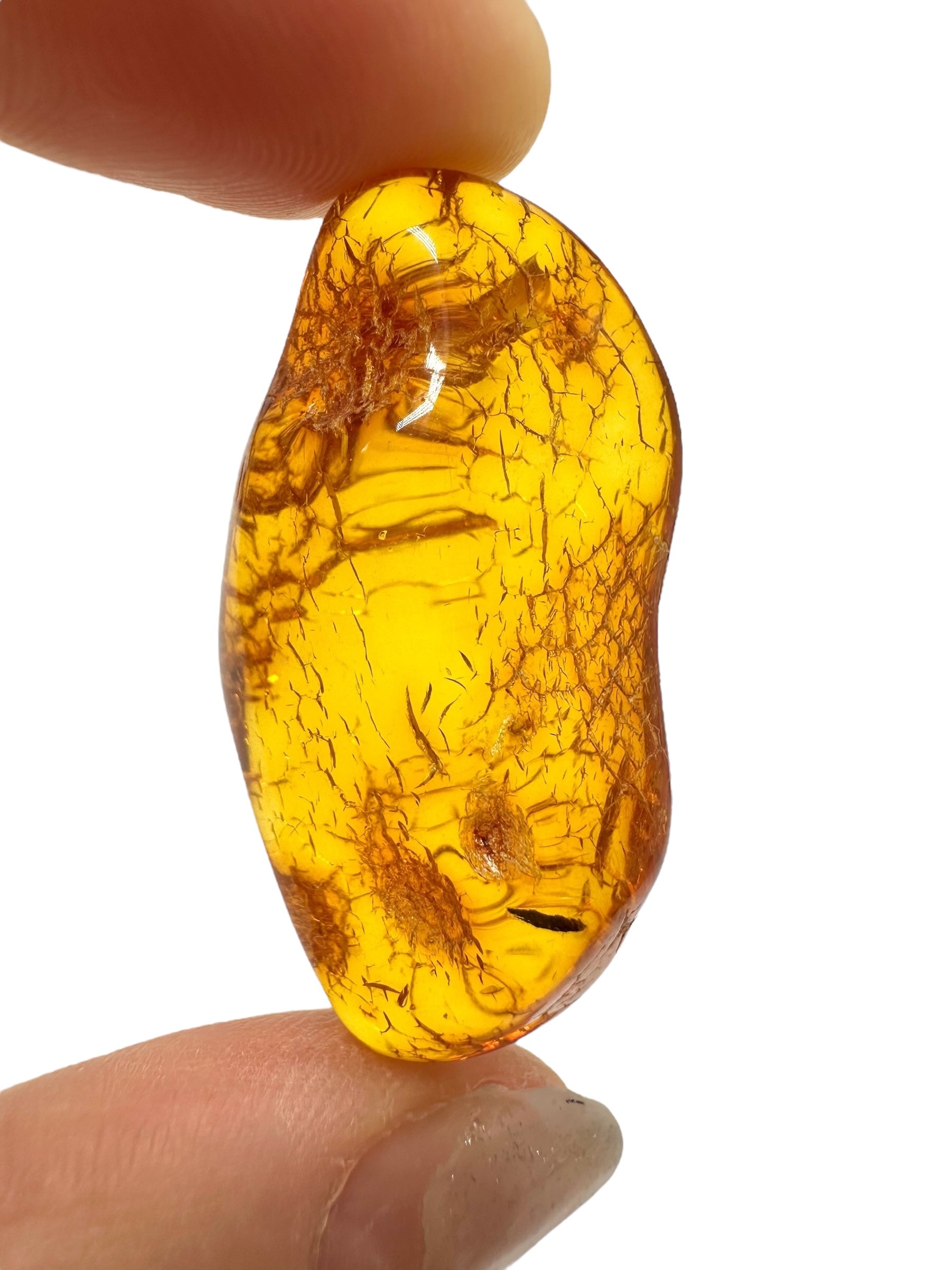 Amber 4,6g – Lithuania - JN619