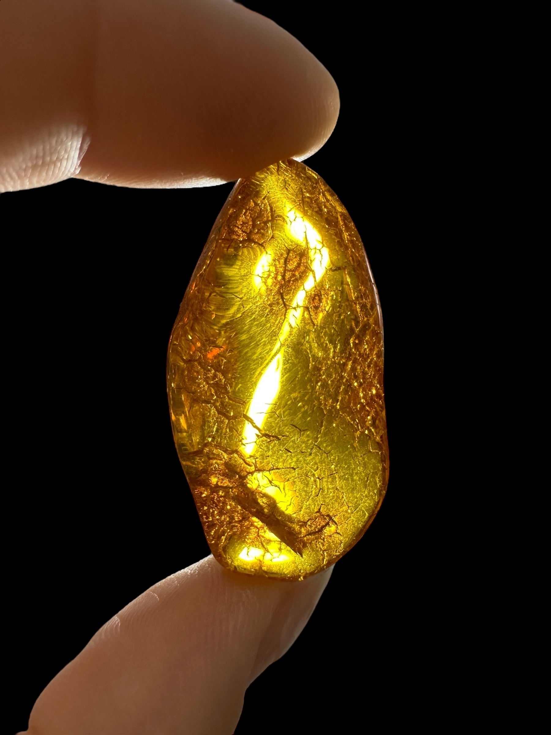 Amber 4,6g – Lithuania - JN619