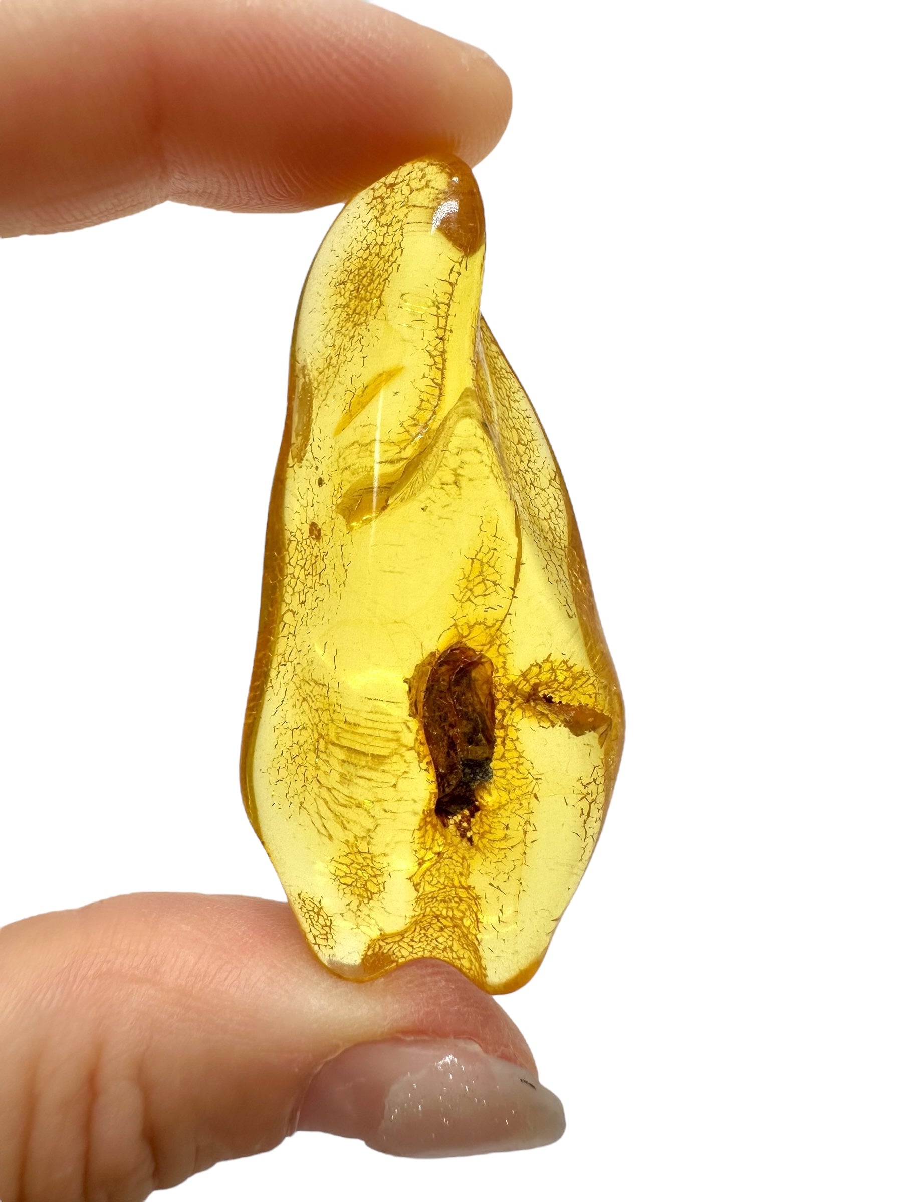 Amber 7,7g – Lithuania - JN621