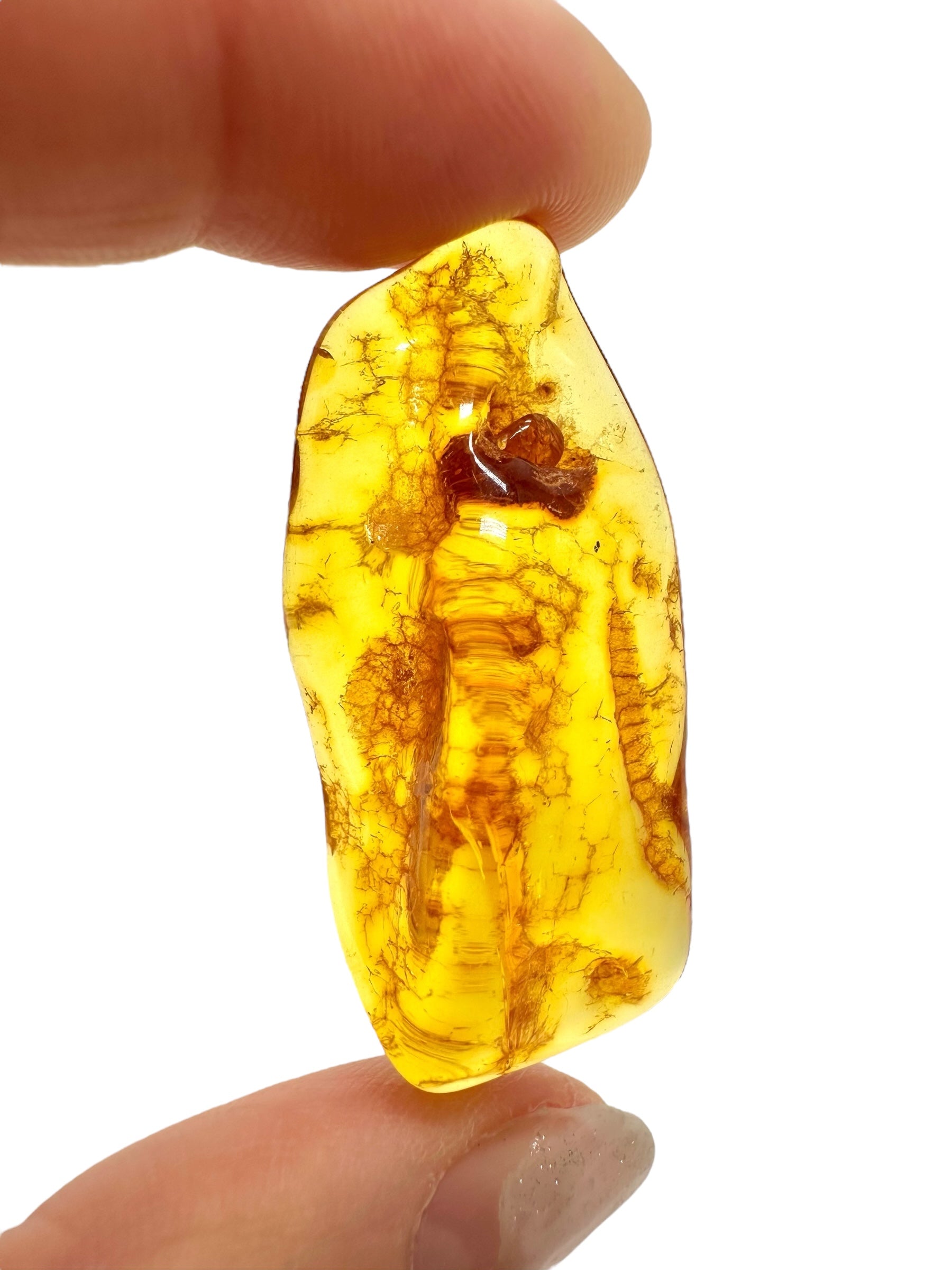 Amber 4,8g – Lithuania - JN624