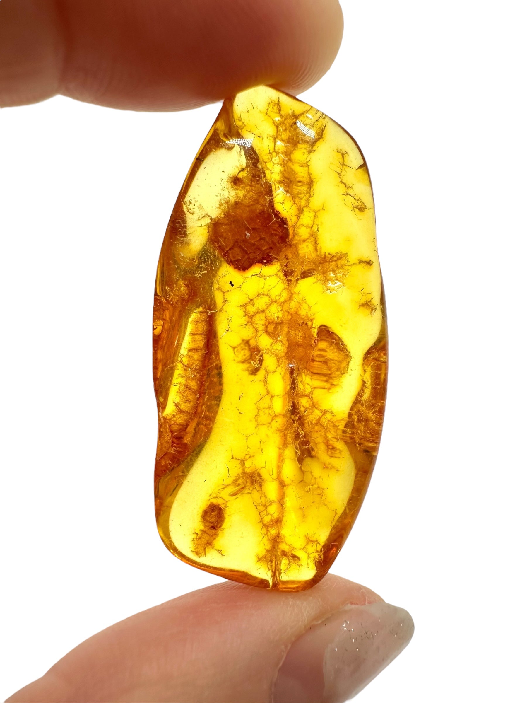 Amber 4,8g – Lithuania - JN624
