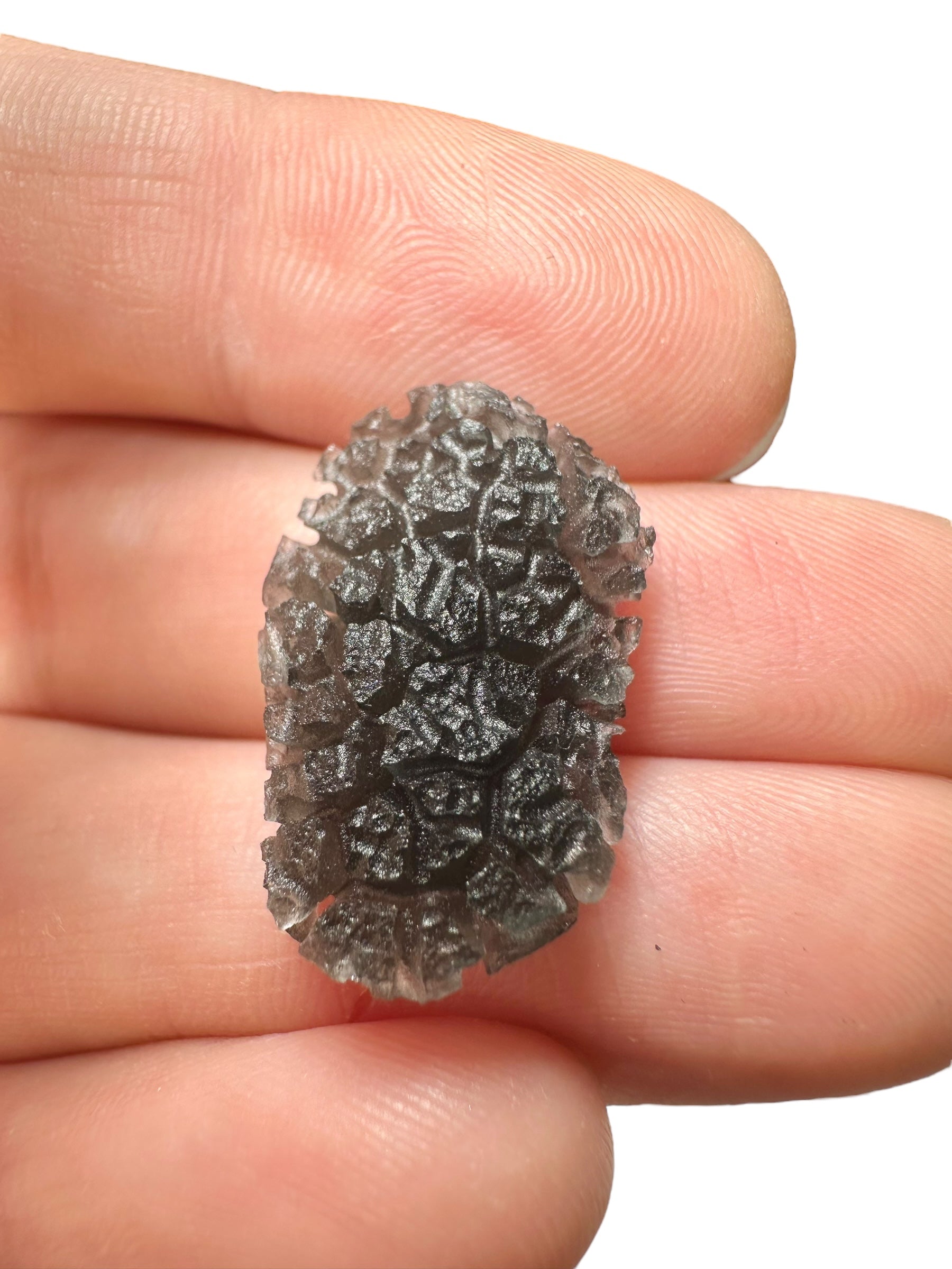 Carpathian obsidians 34,8g (Hedgehog) – Slovakia - OBJVEL5