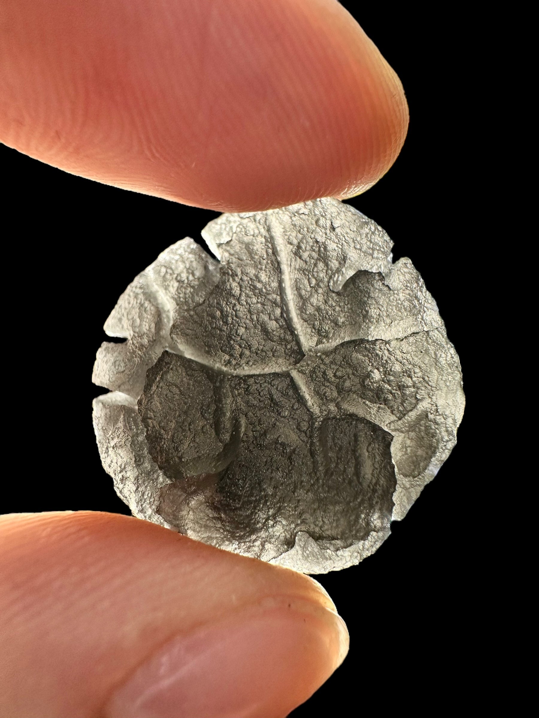 Slovak obsidian – Hedgehog – 47,5g - OBJVEL6