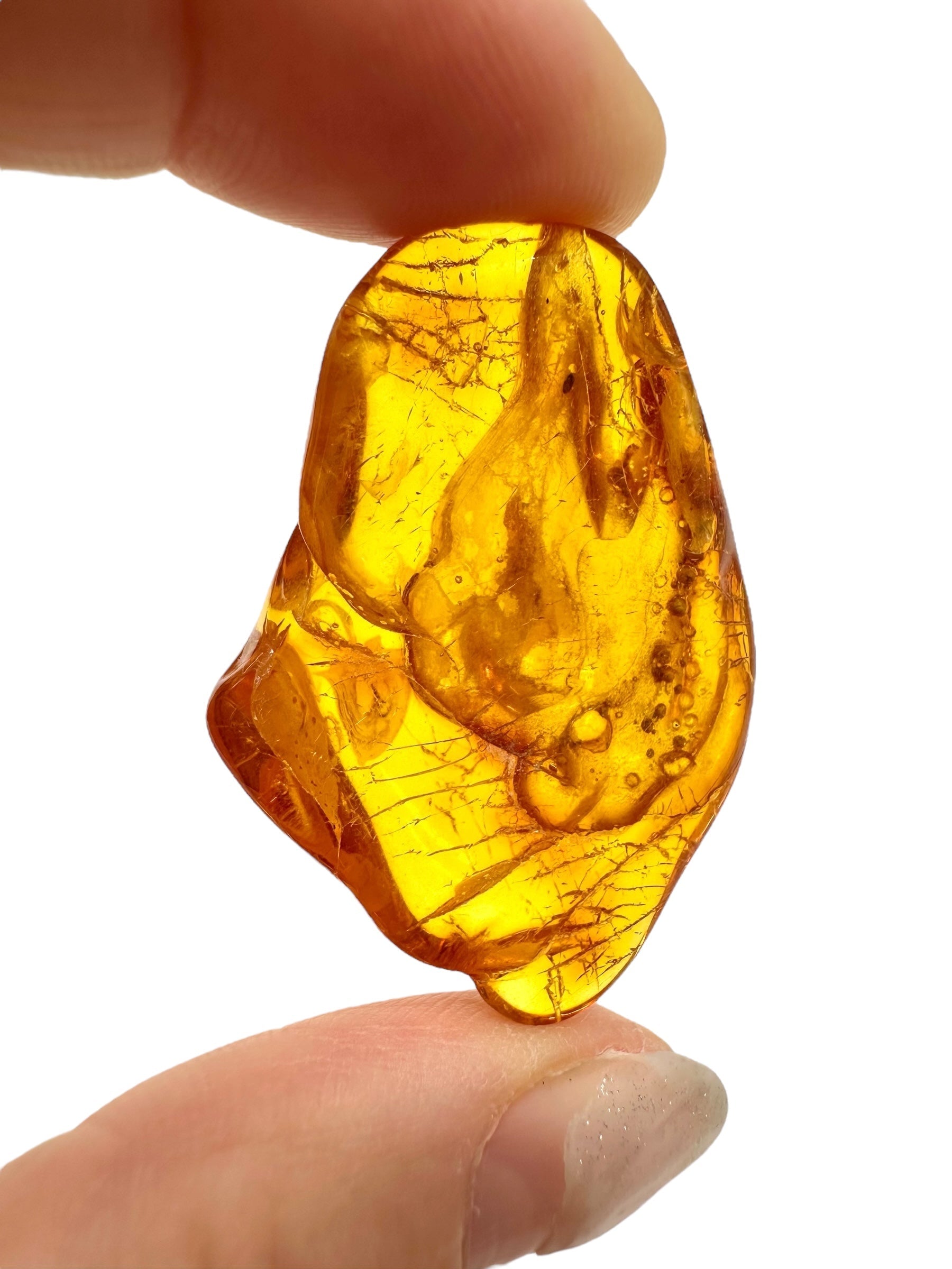 Amber 5,9g – Lithuania - JN628