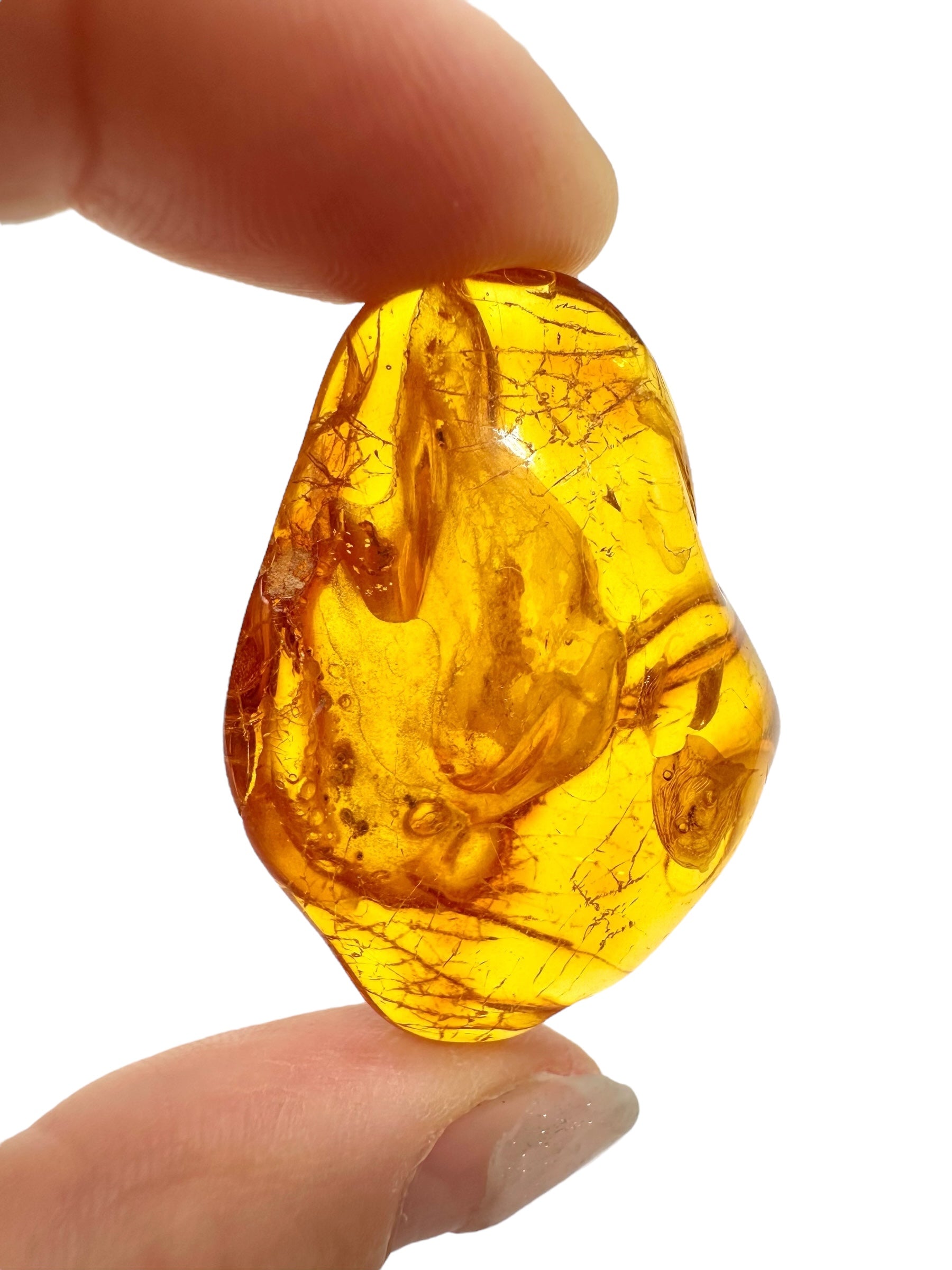 Amber 5,9g – Lithuania - JN628