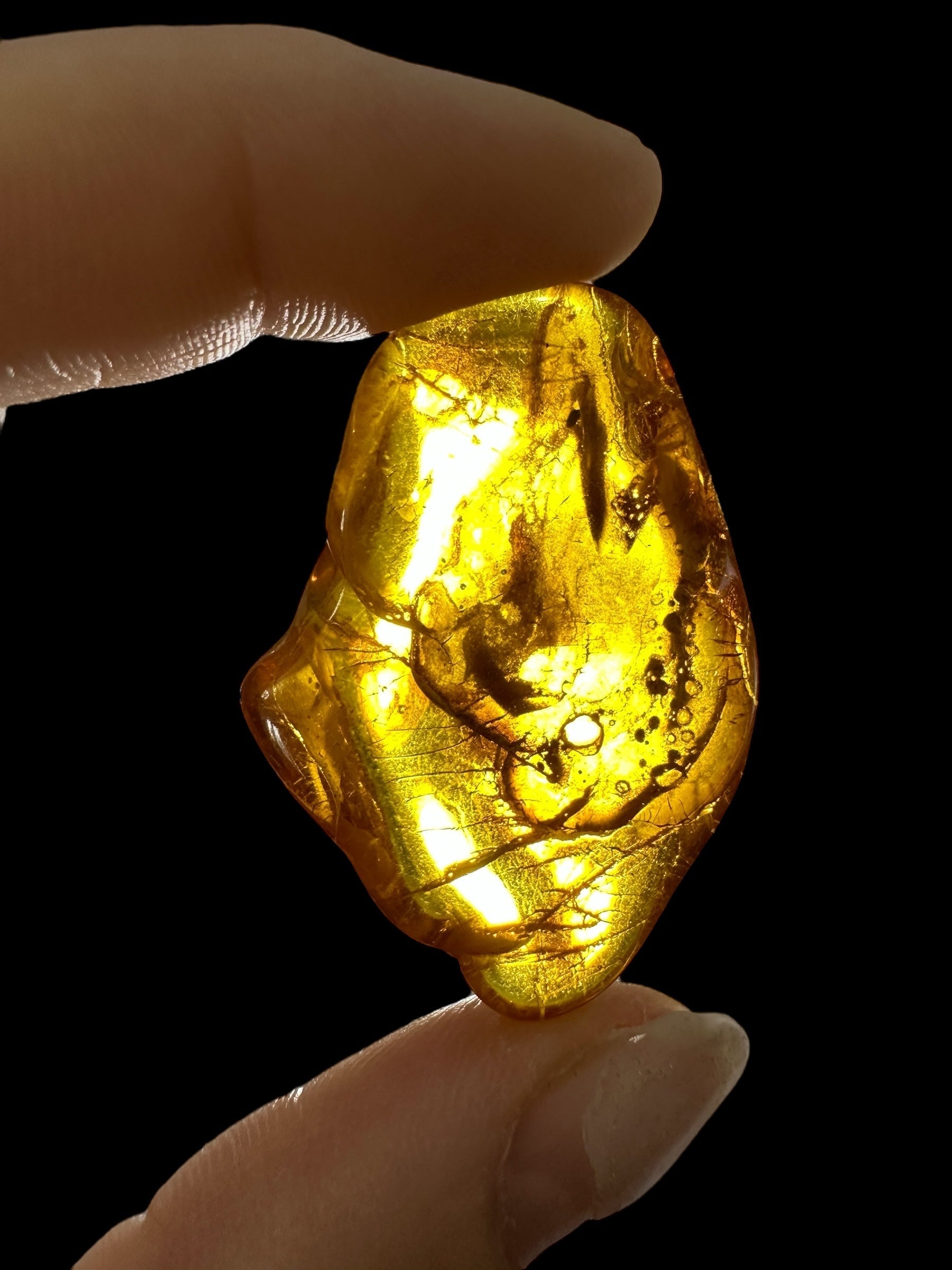 Amber 5,9g – Lithuania - JN628