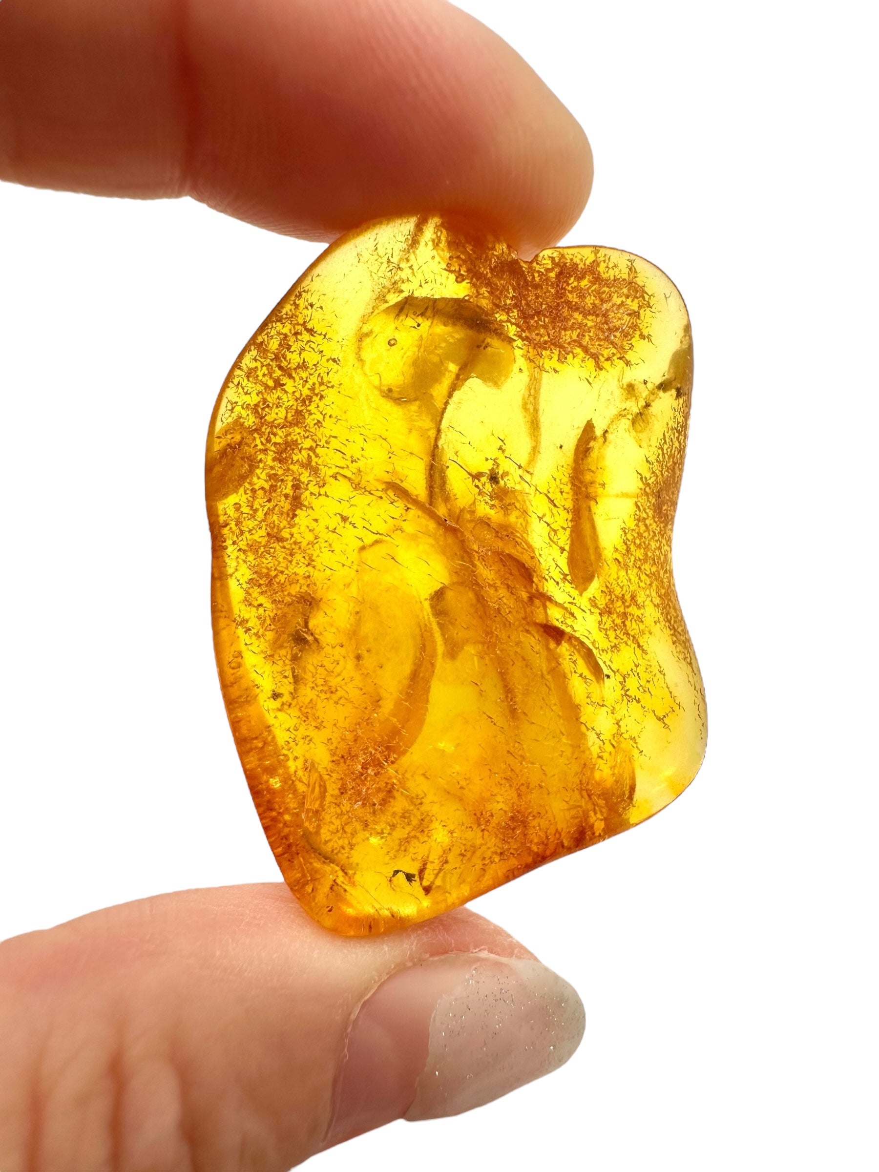Amber 6,1g – Lithuania - JN631