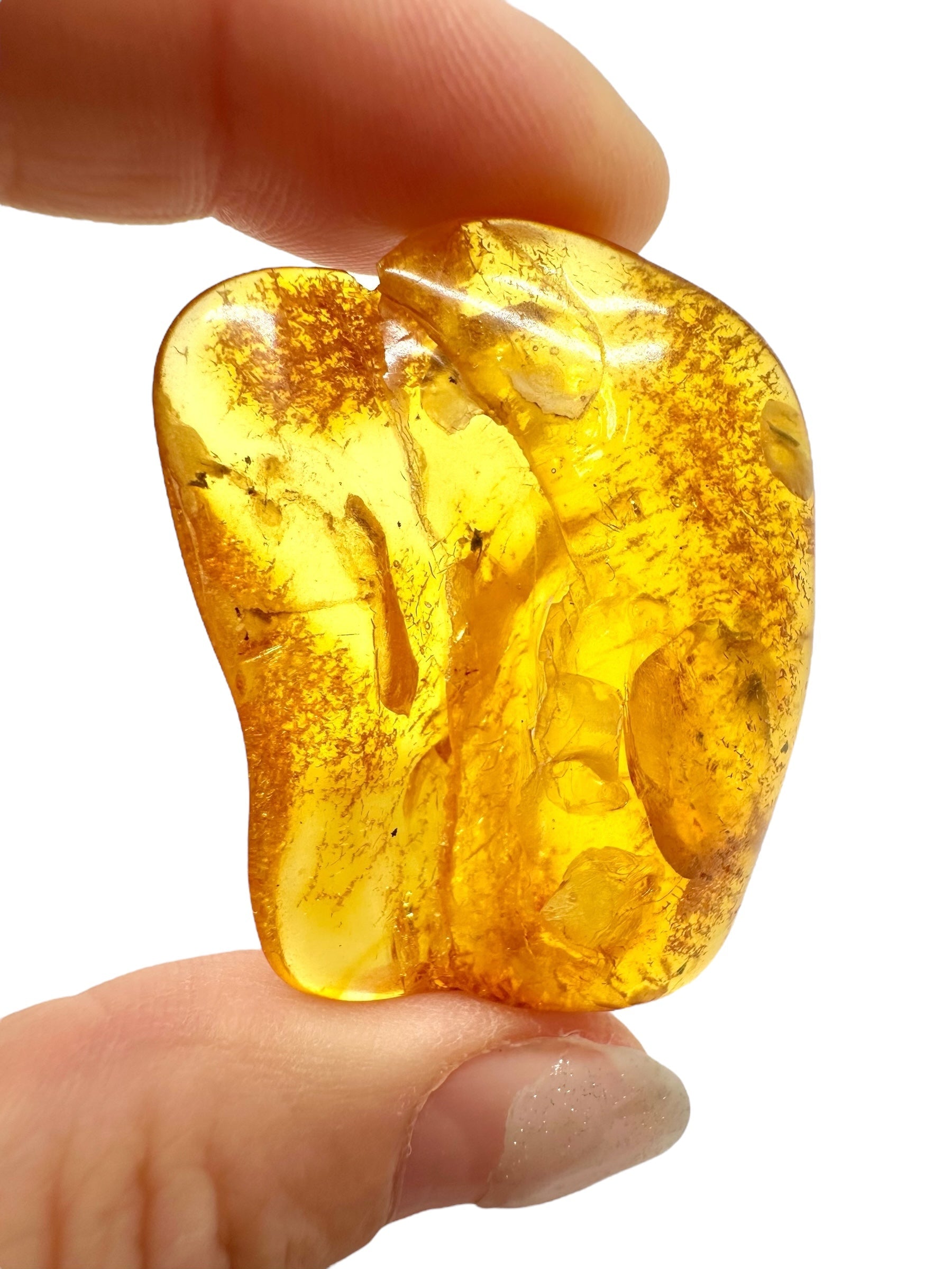 Amber 6,1g – Lithuania - JN631