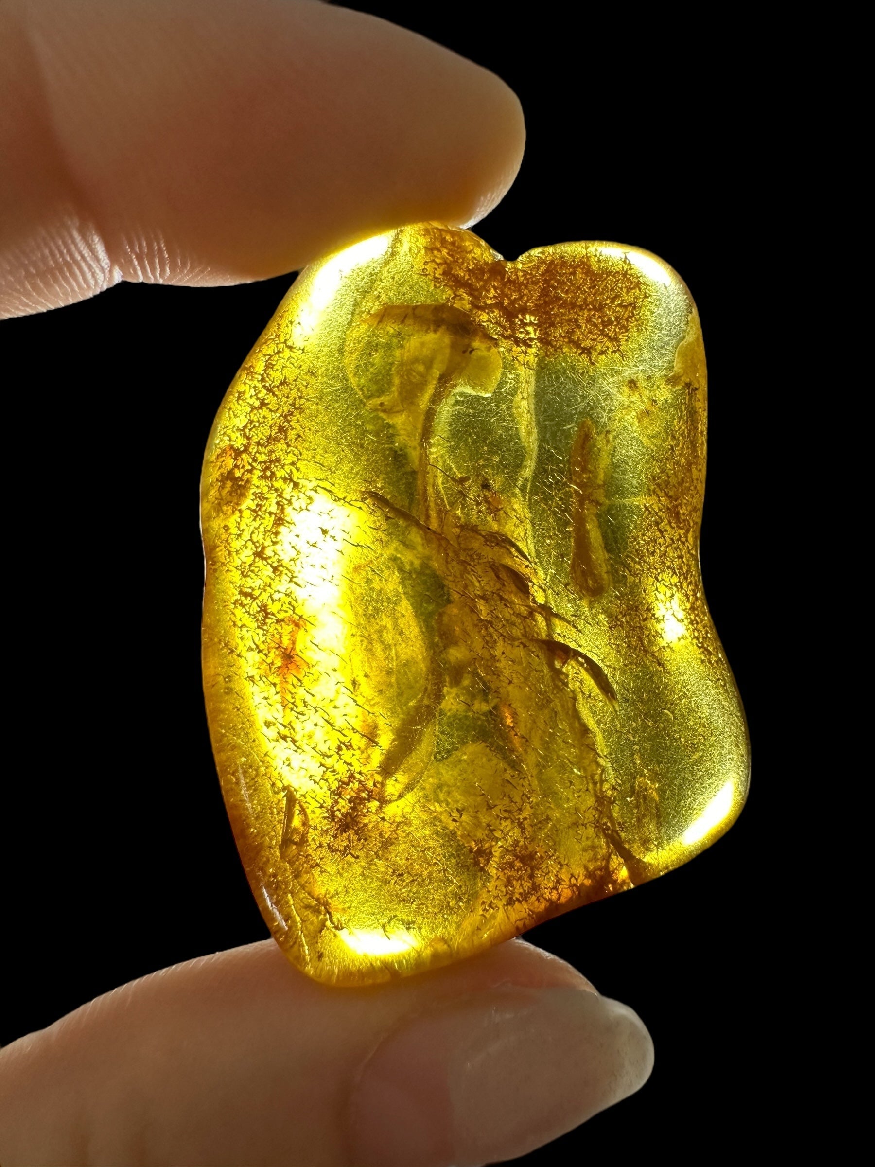 Amber 6,1g – Lithuania - JN631