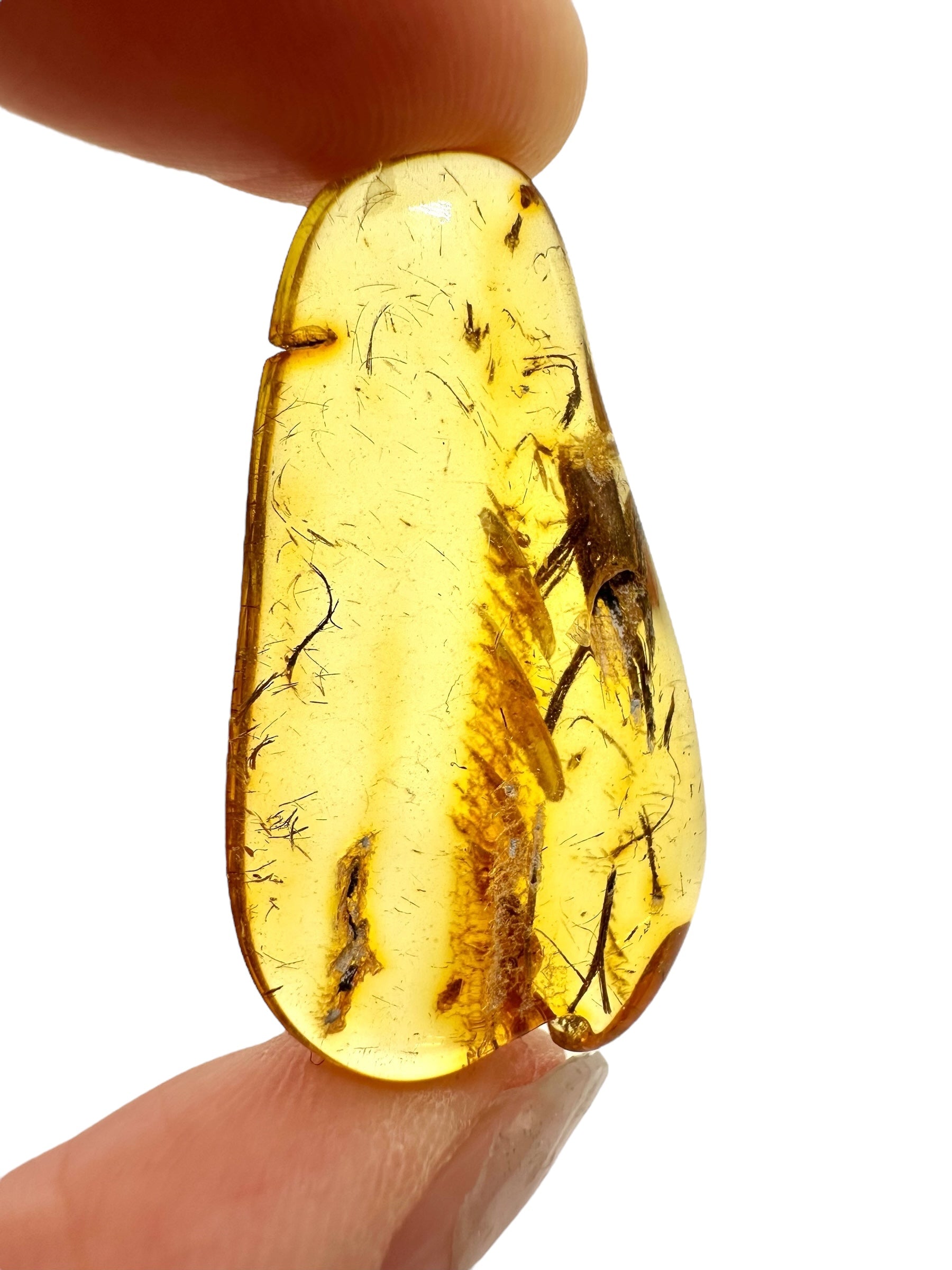 Amber 2,7g – Lithuania - JN633