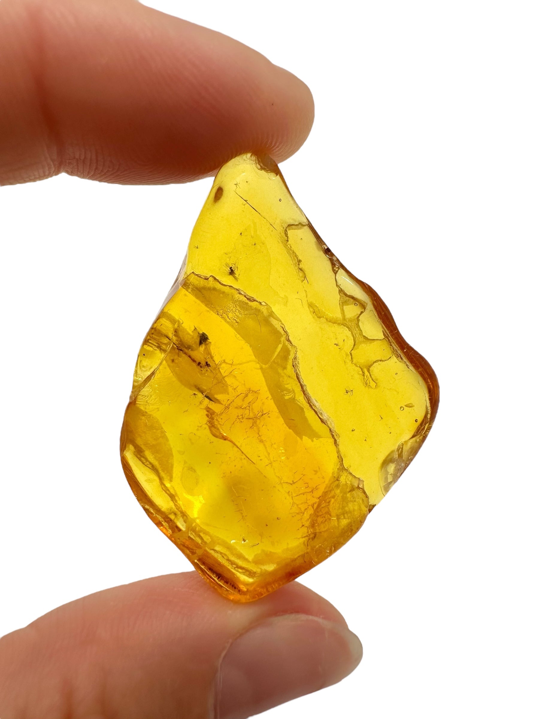 Amber 5g – Lithuania - JN639
