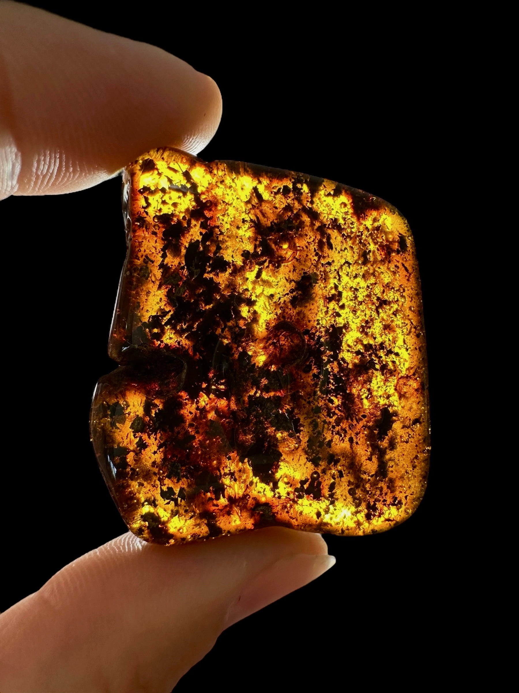 Amber 11,7g – Lithuania - JN642