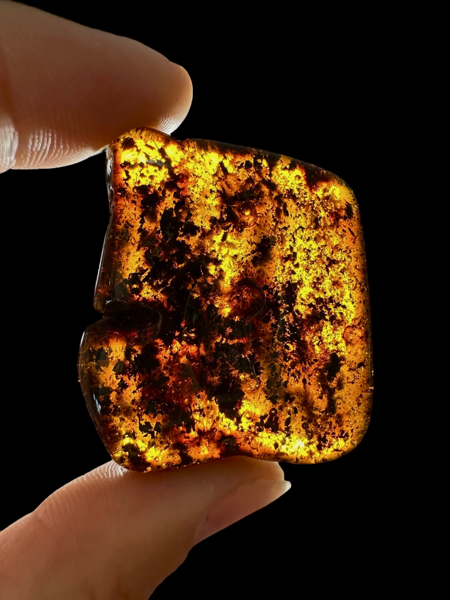 Amber 11,7g – Lithuania - JN642