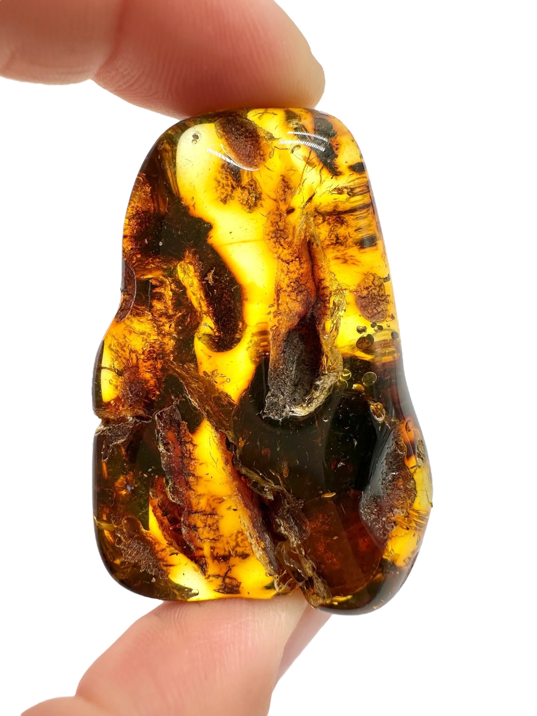 Amber 16,6g – Lithuania - JN645