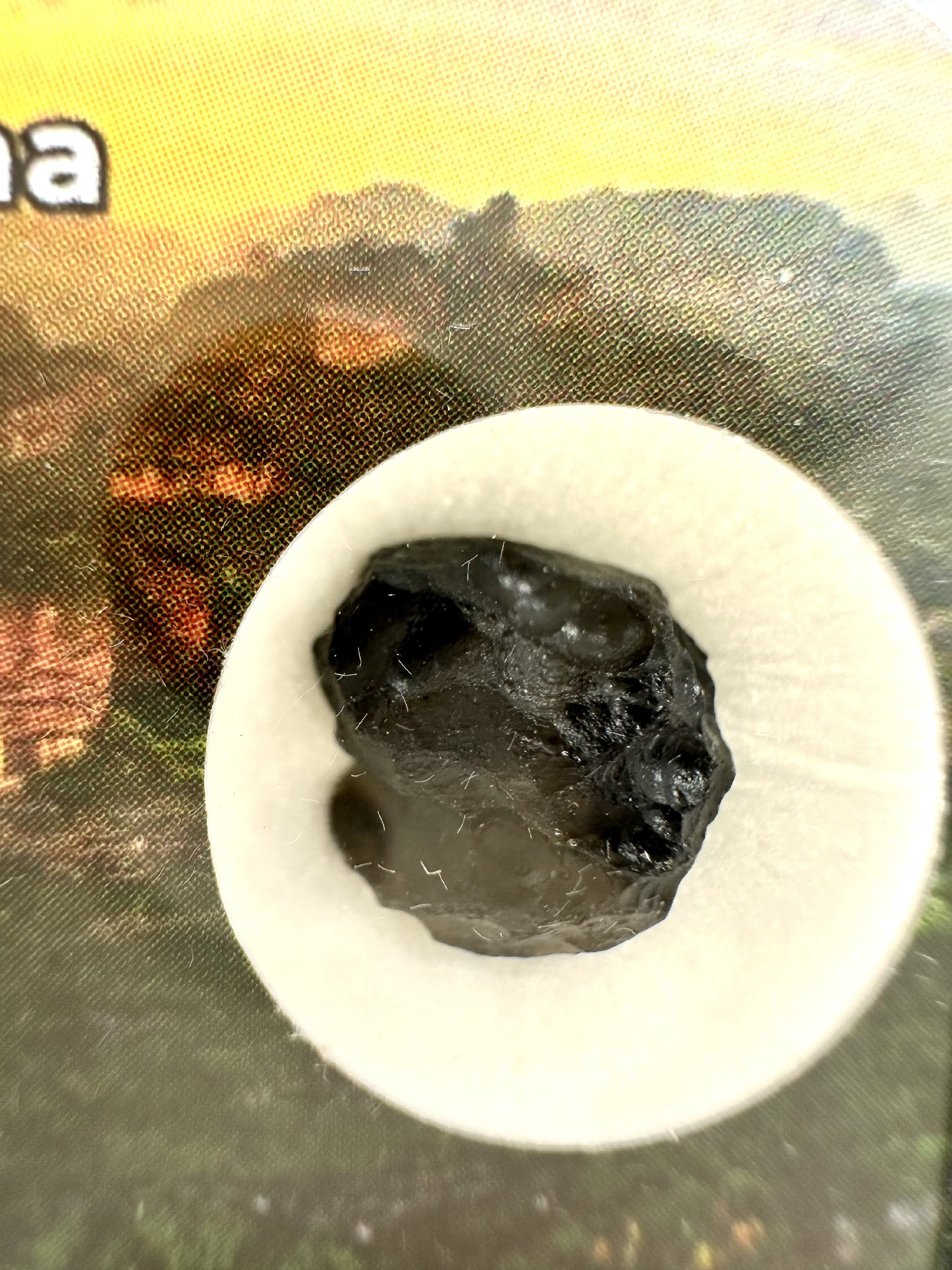 Indochinite in box – Guangdong, China - IN130