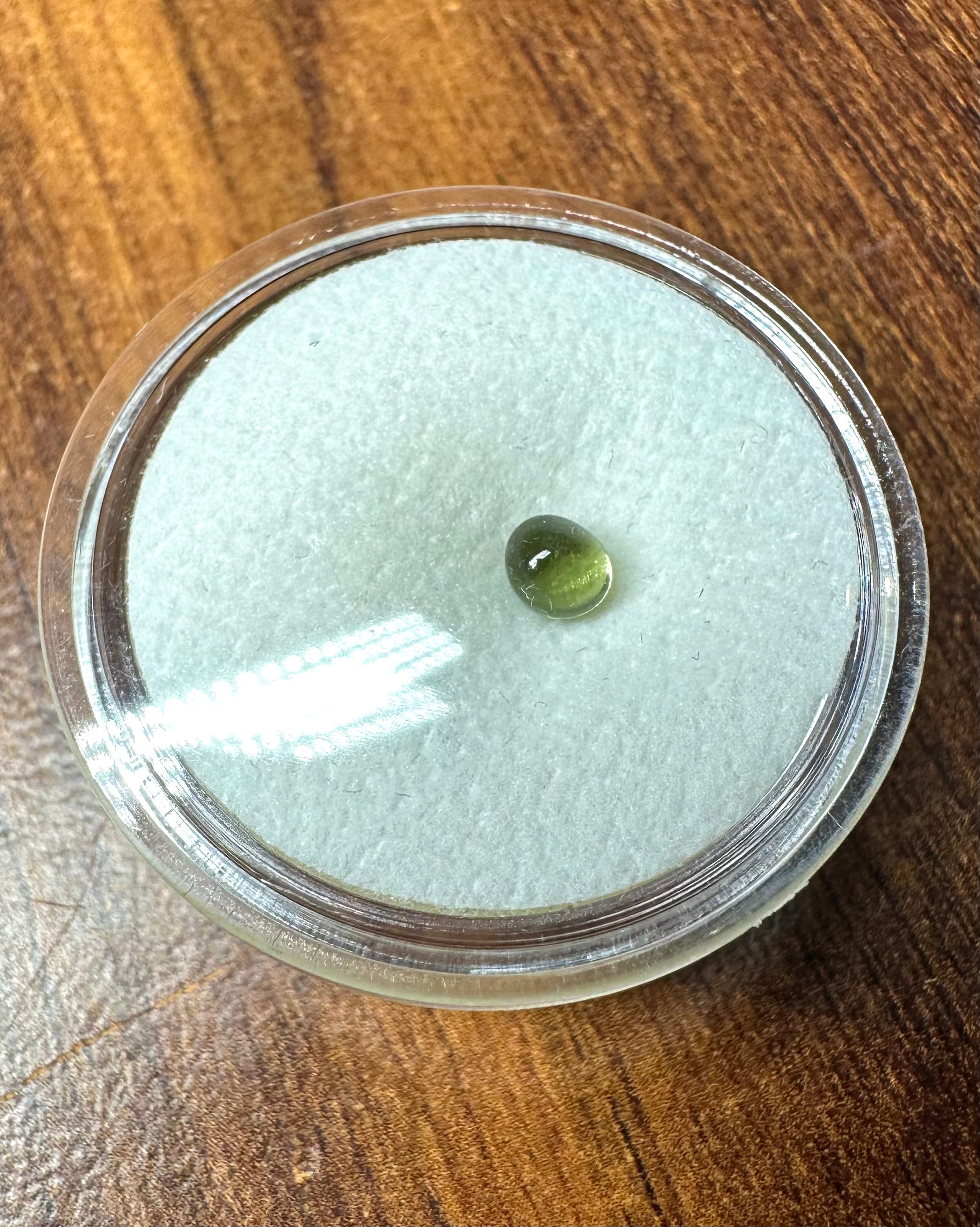 Tumbled moldavite 0,32ct - TV017