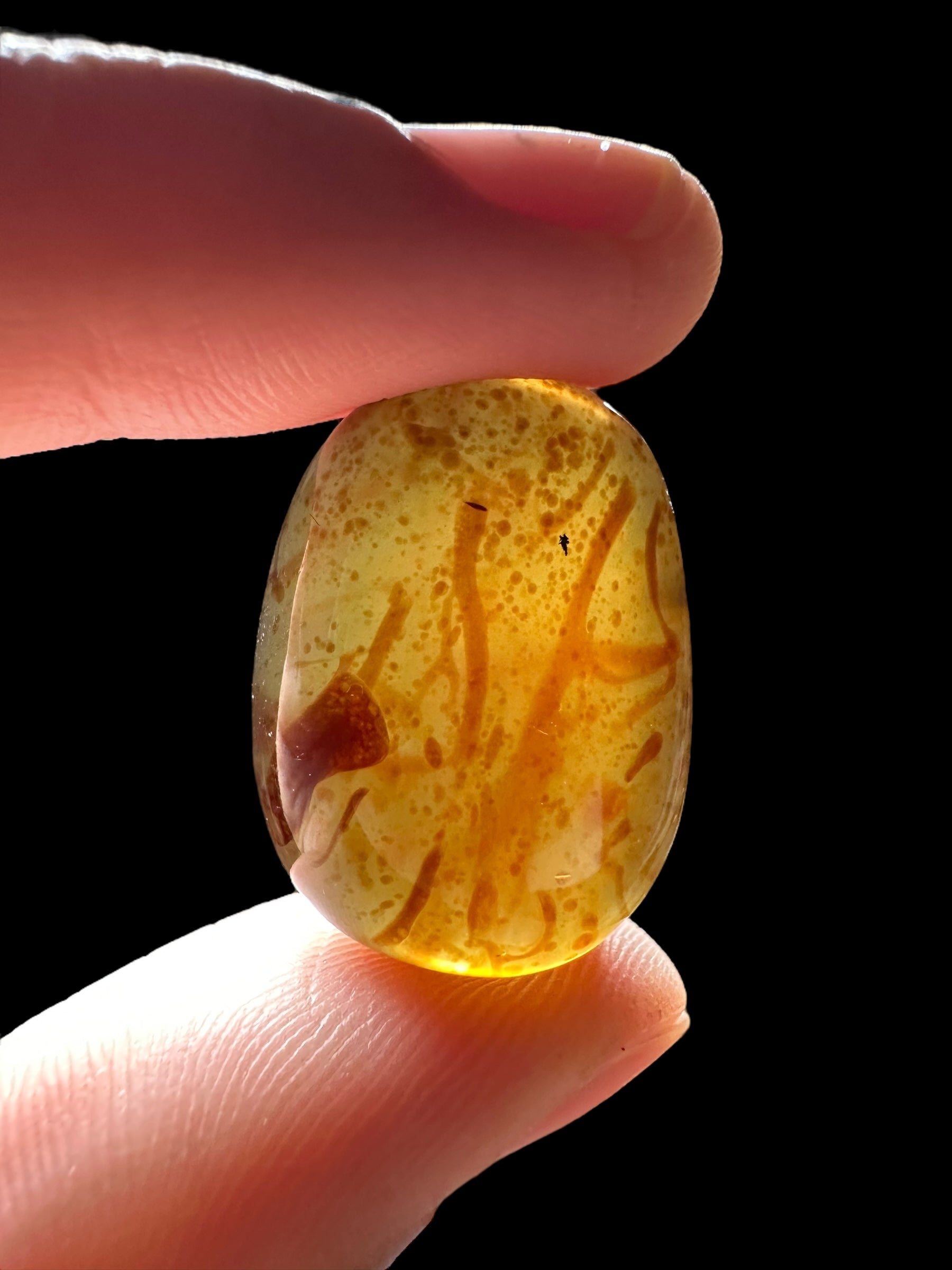 Tumbled amber – Indonesia – 1000g - JVEL08