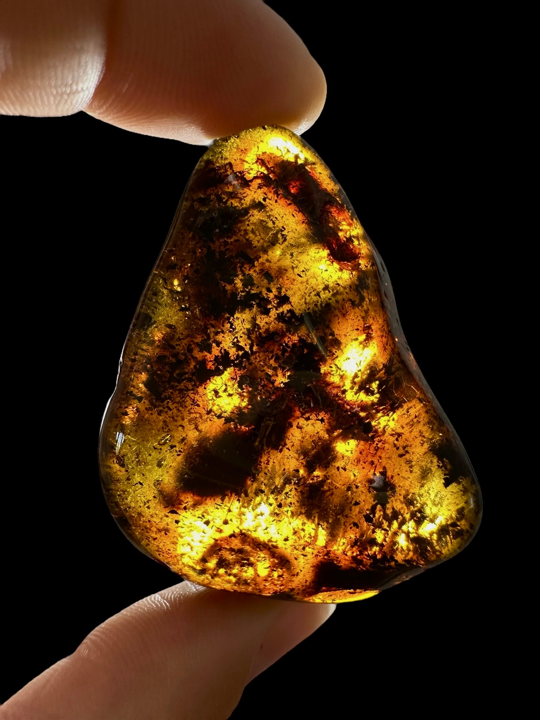 Amber 14,4g – Lithuania - JN646