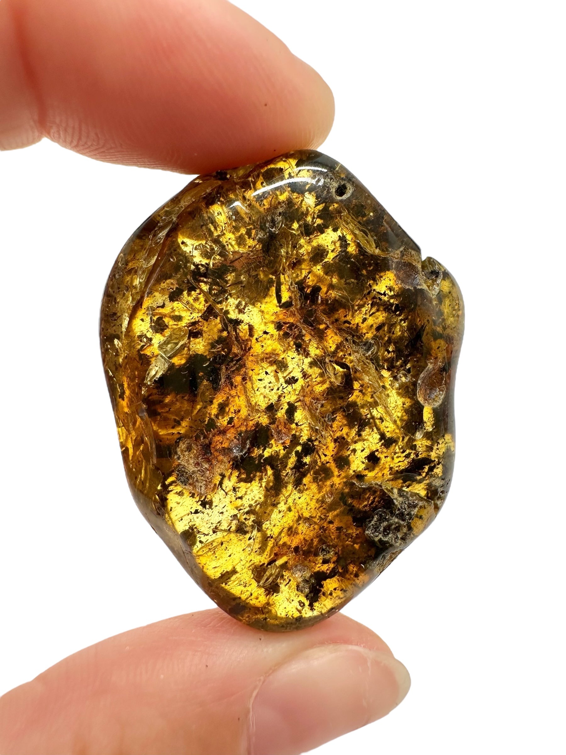 Amber 10,9g – Lithuania - JN647