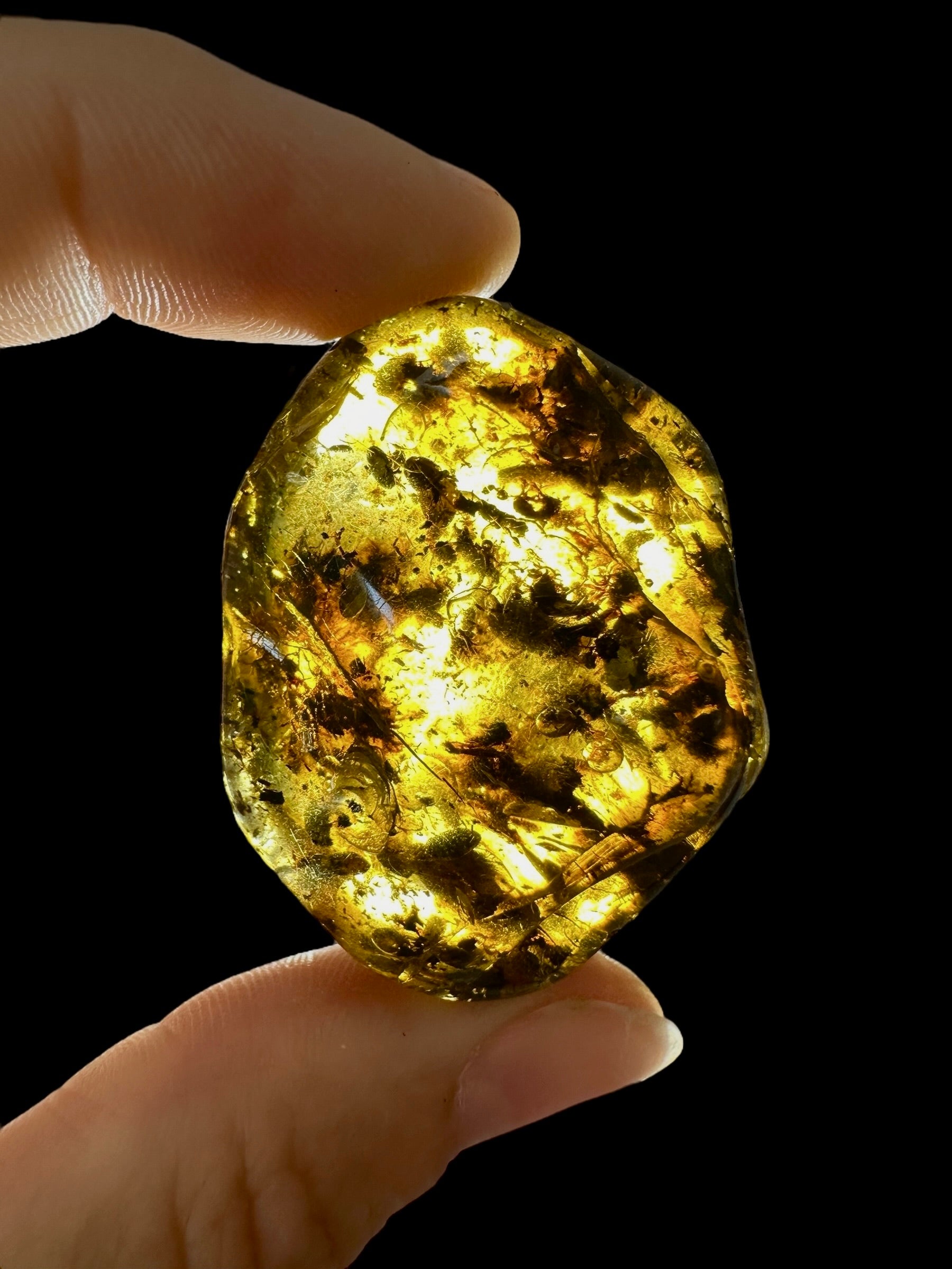 Amber 10,9g – Lithuania - JN647