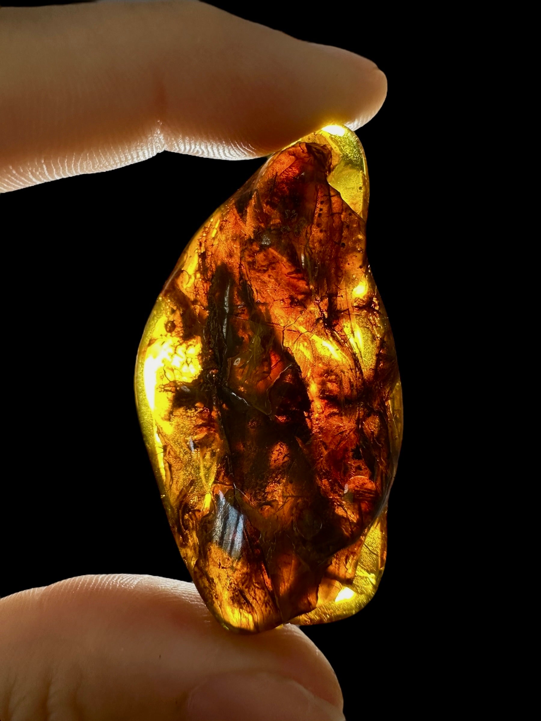 Amber 7,9g – Lithuania - JN649