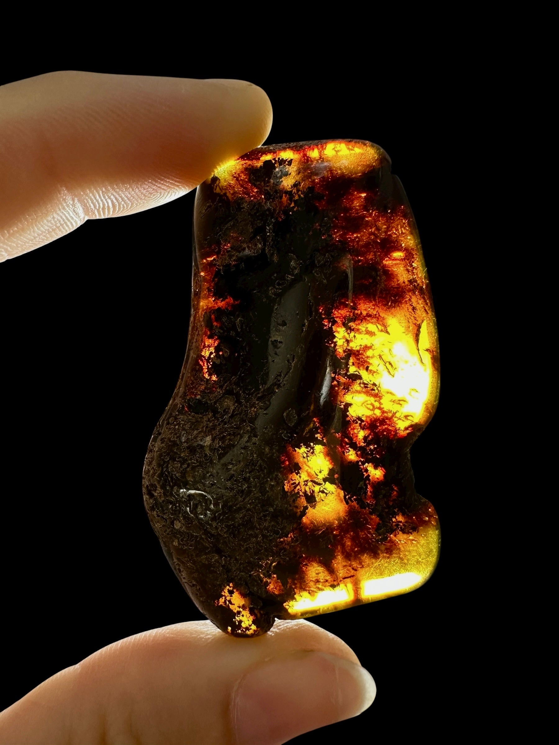 Amber 9,8g – Lithuania - JN651