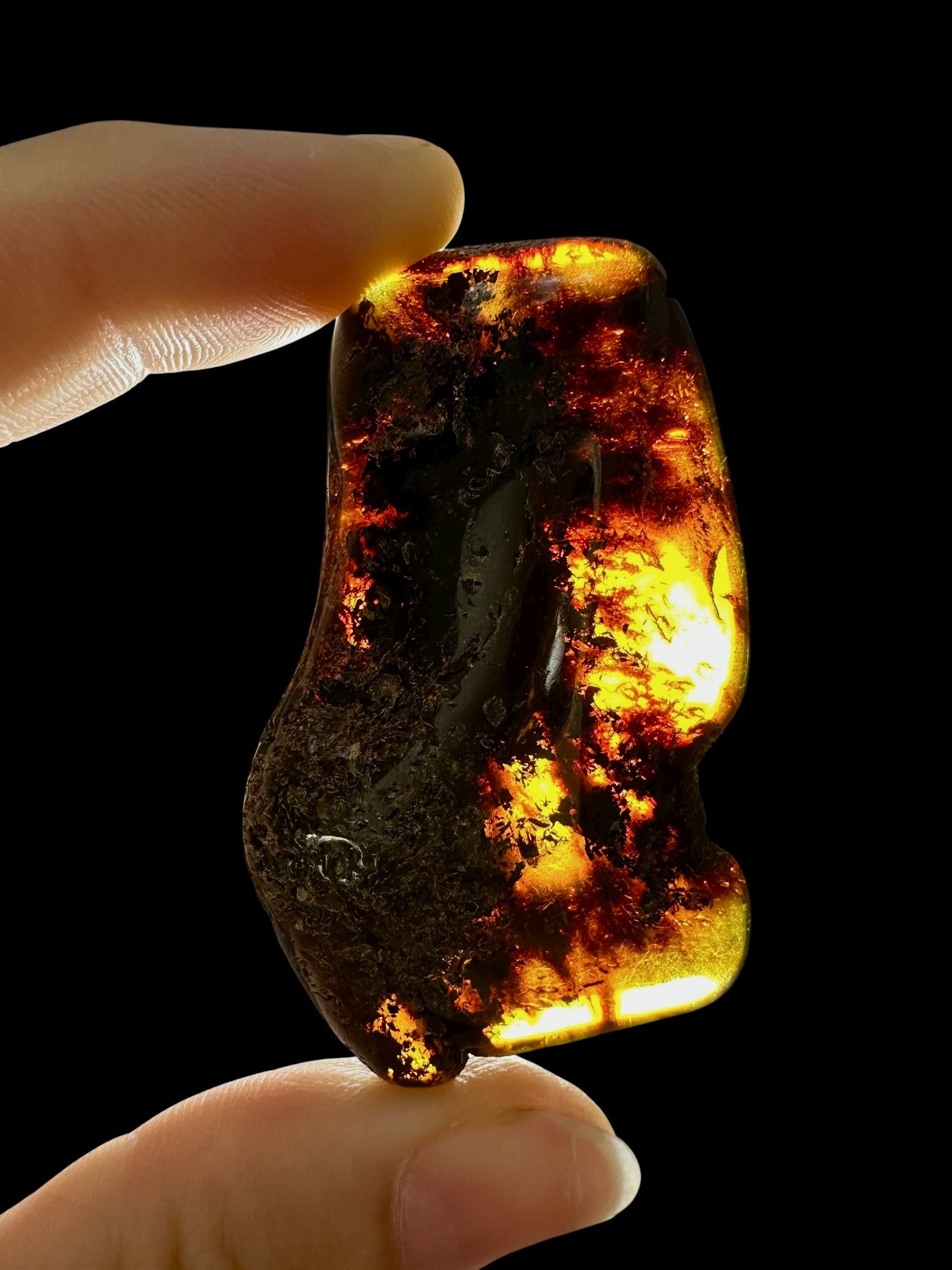 Amber 9,8g – Lithuania - JN651