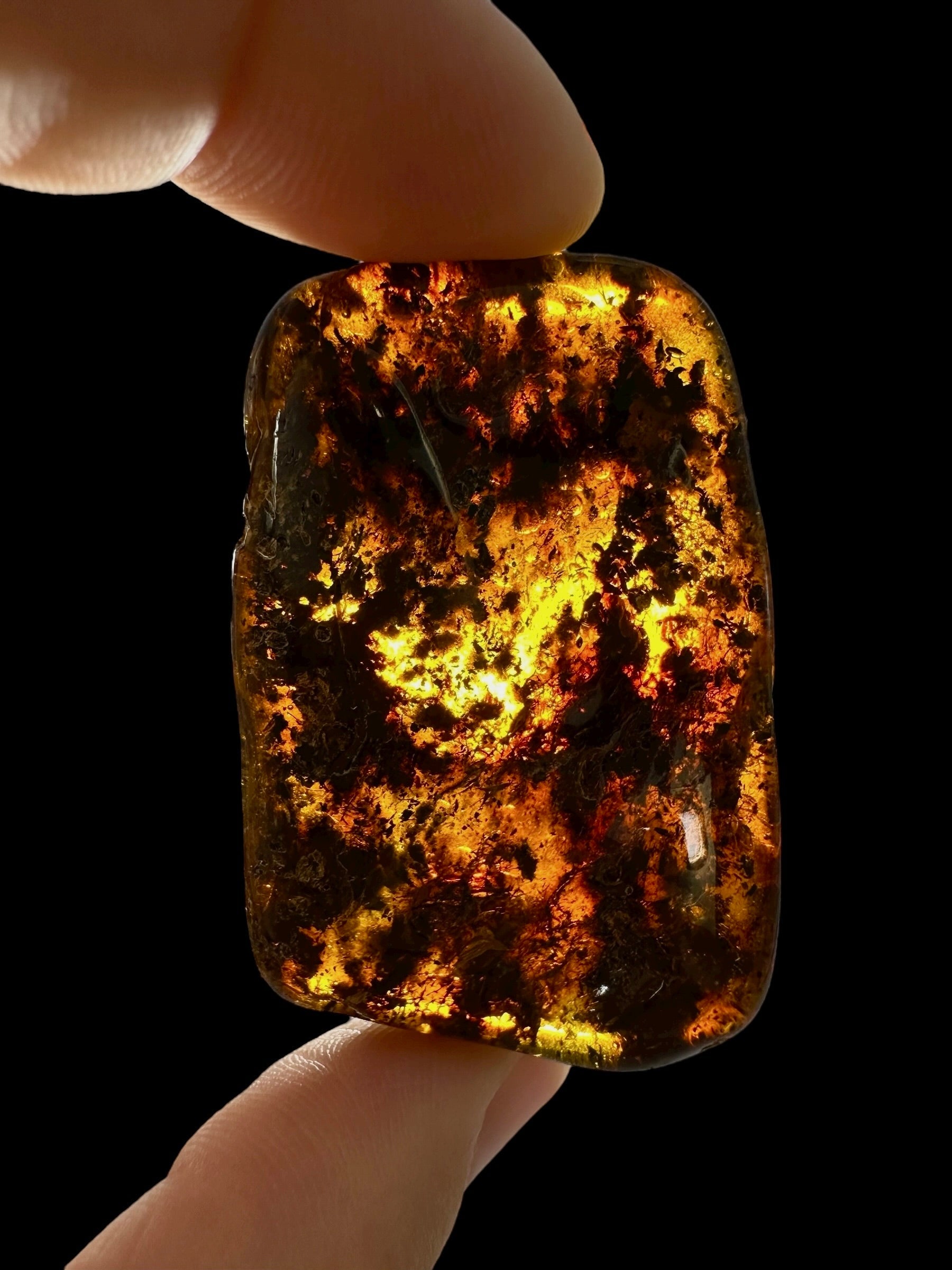 Amber 11,5g – Lithuania - JN656