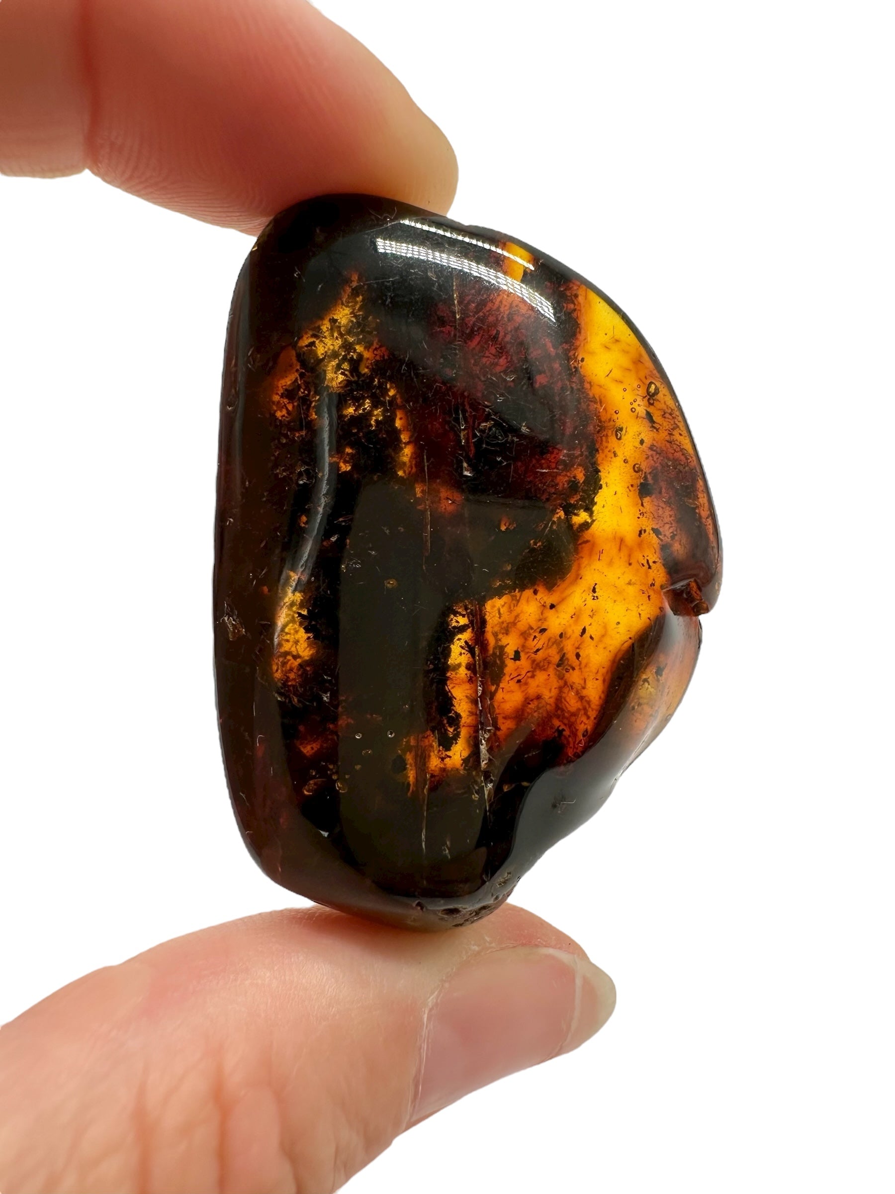 Amber 11,6g – Lithuania - JN661