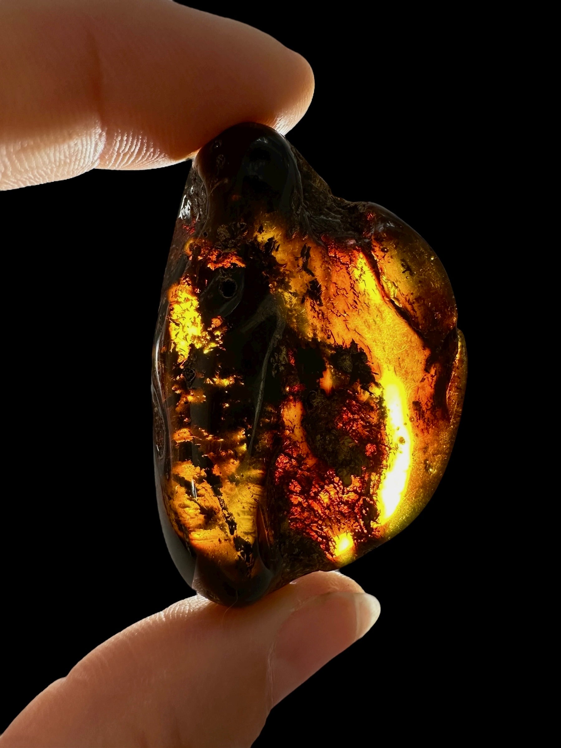 Amber 11,6g – Lithuania - JN661