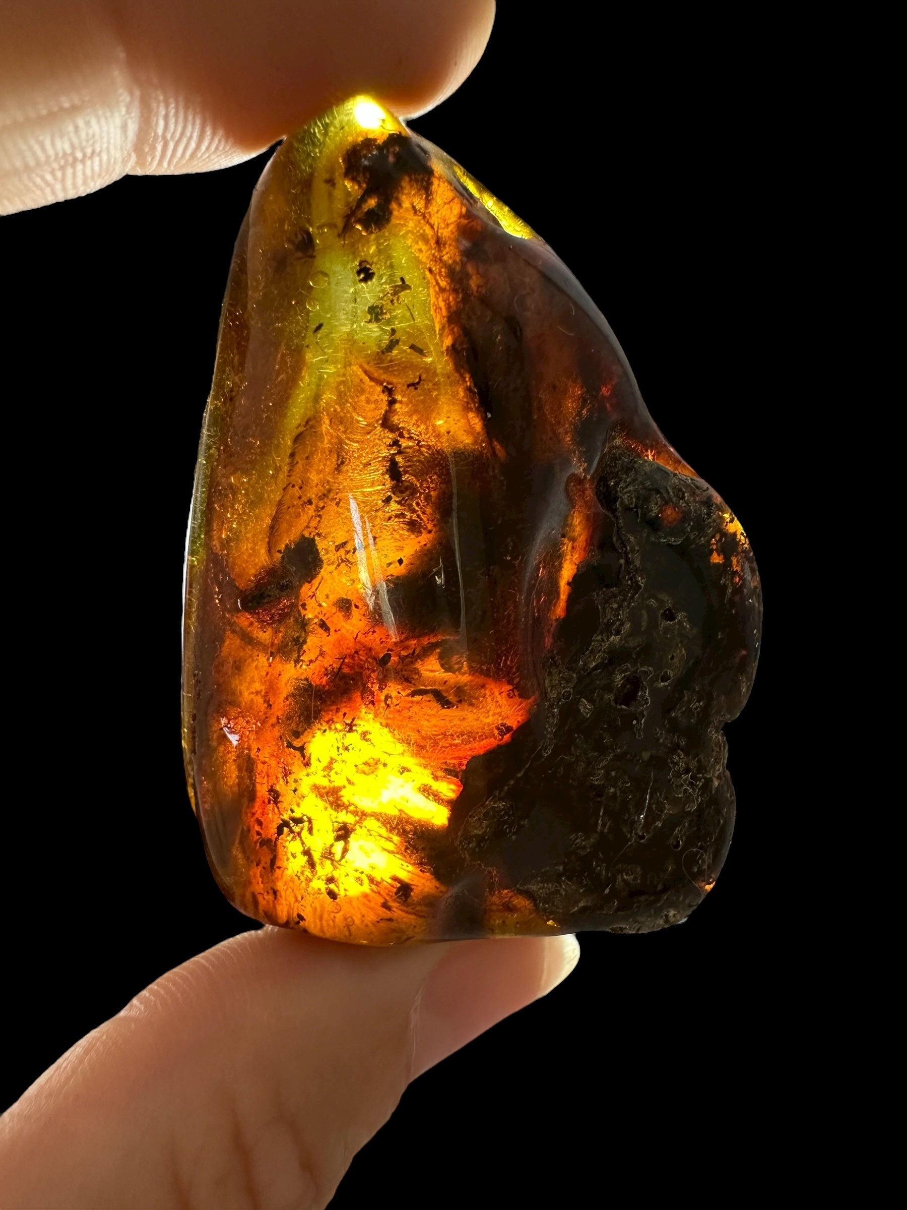 Amber 17,4g – Lithuania - JN663